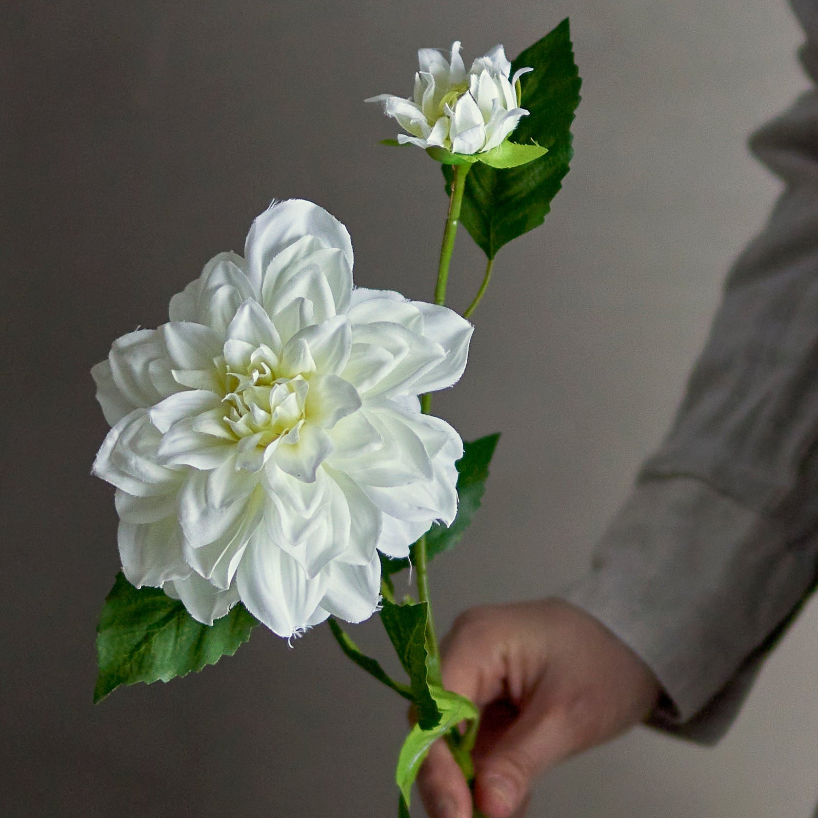 Artificial Dahlia Stem - White
