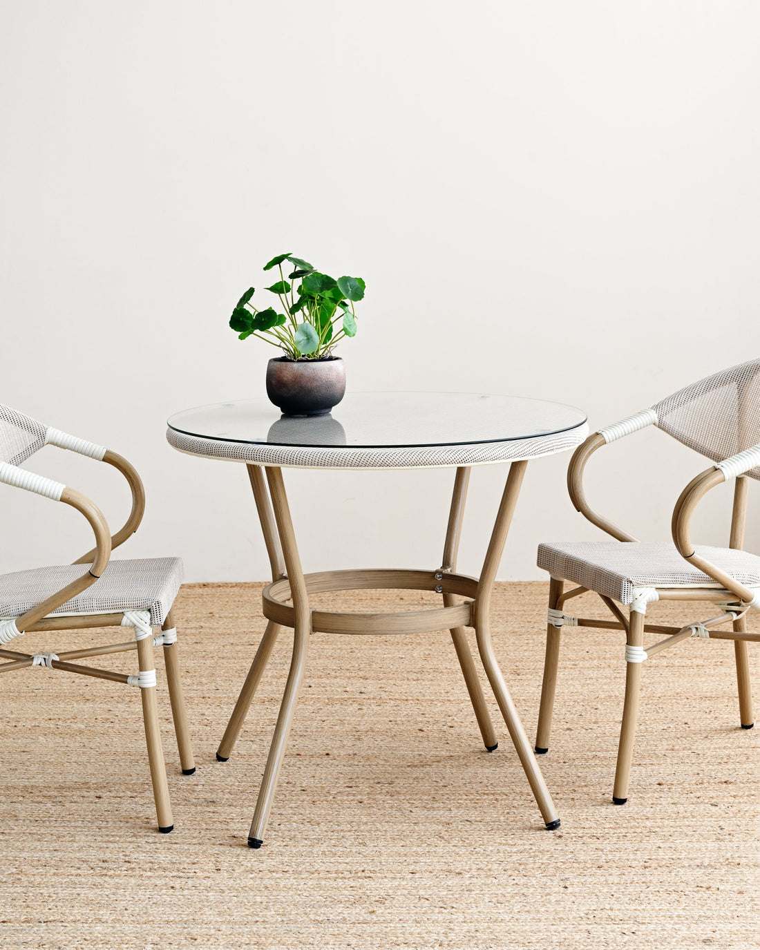 Round glass table with a plant and two chairs on a beige carpet