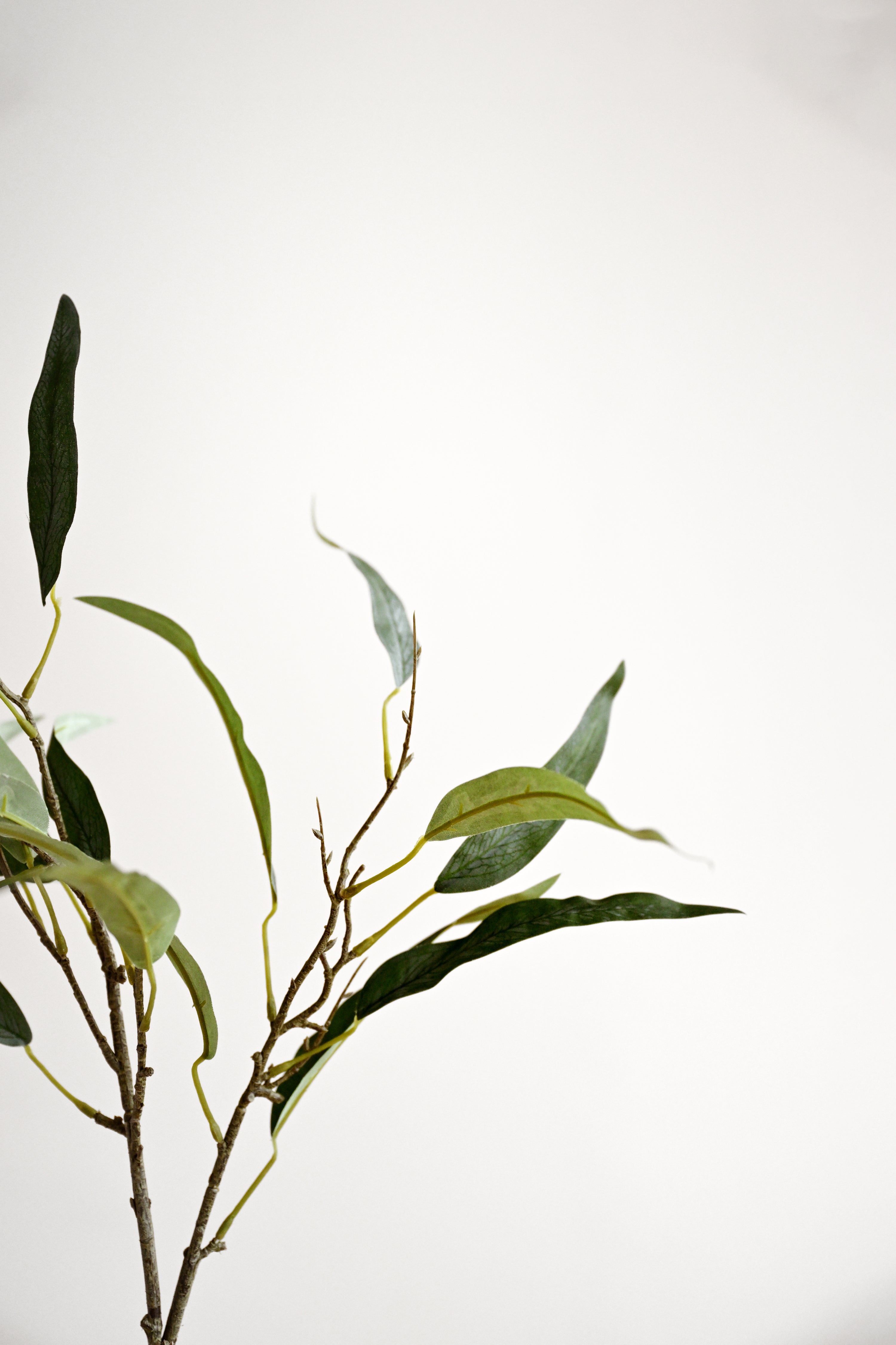 Artificial Eucalyptus Stem - Green 3