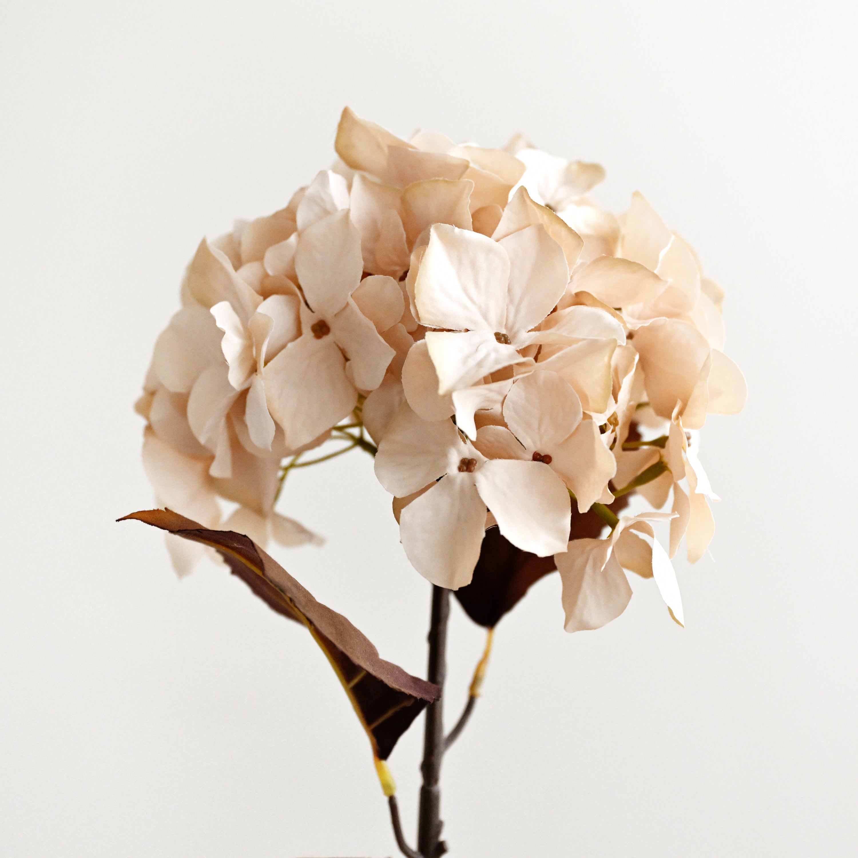 Artificial Hydrangea Stem - Natural 2