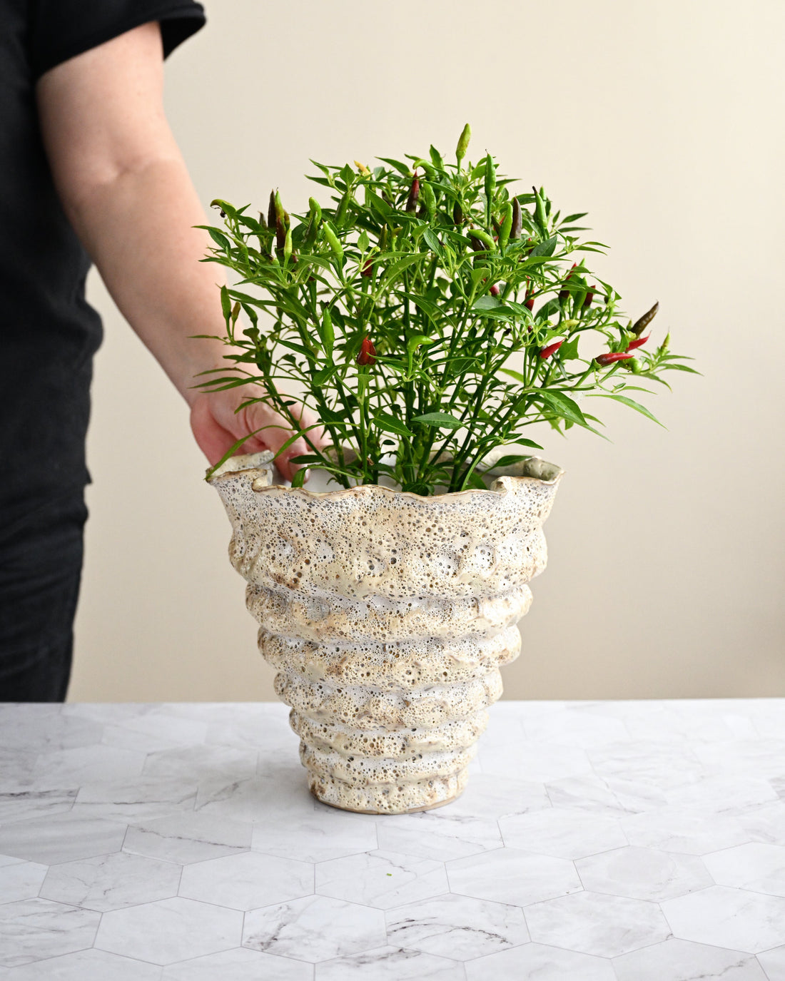 Person holding a textured ceramic planter with a plant on a marble surface.