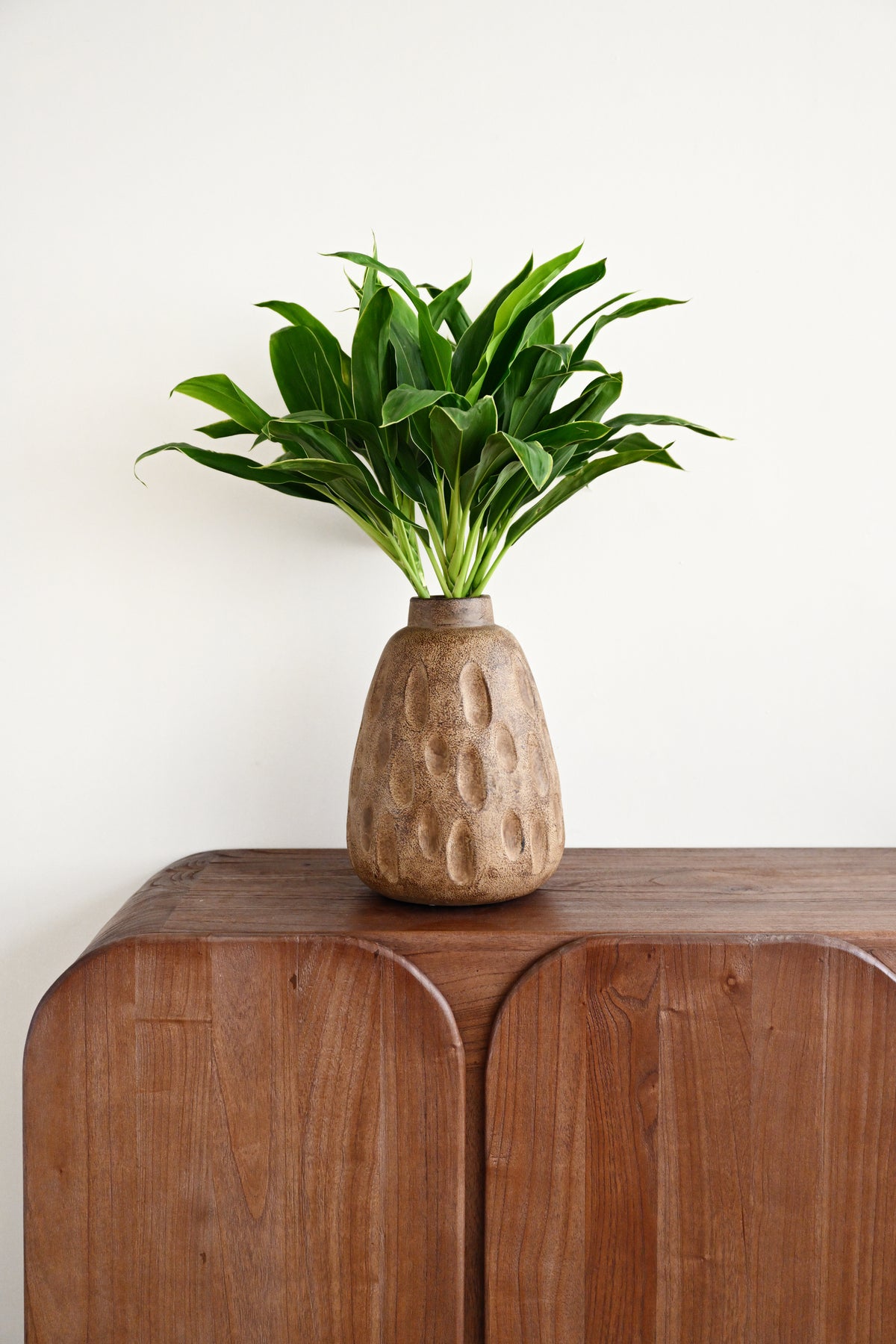 A green leafy plant in a textured beige ceramic vase, displayed on a curved wooden cabinet against a plain off-white wall.