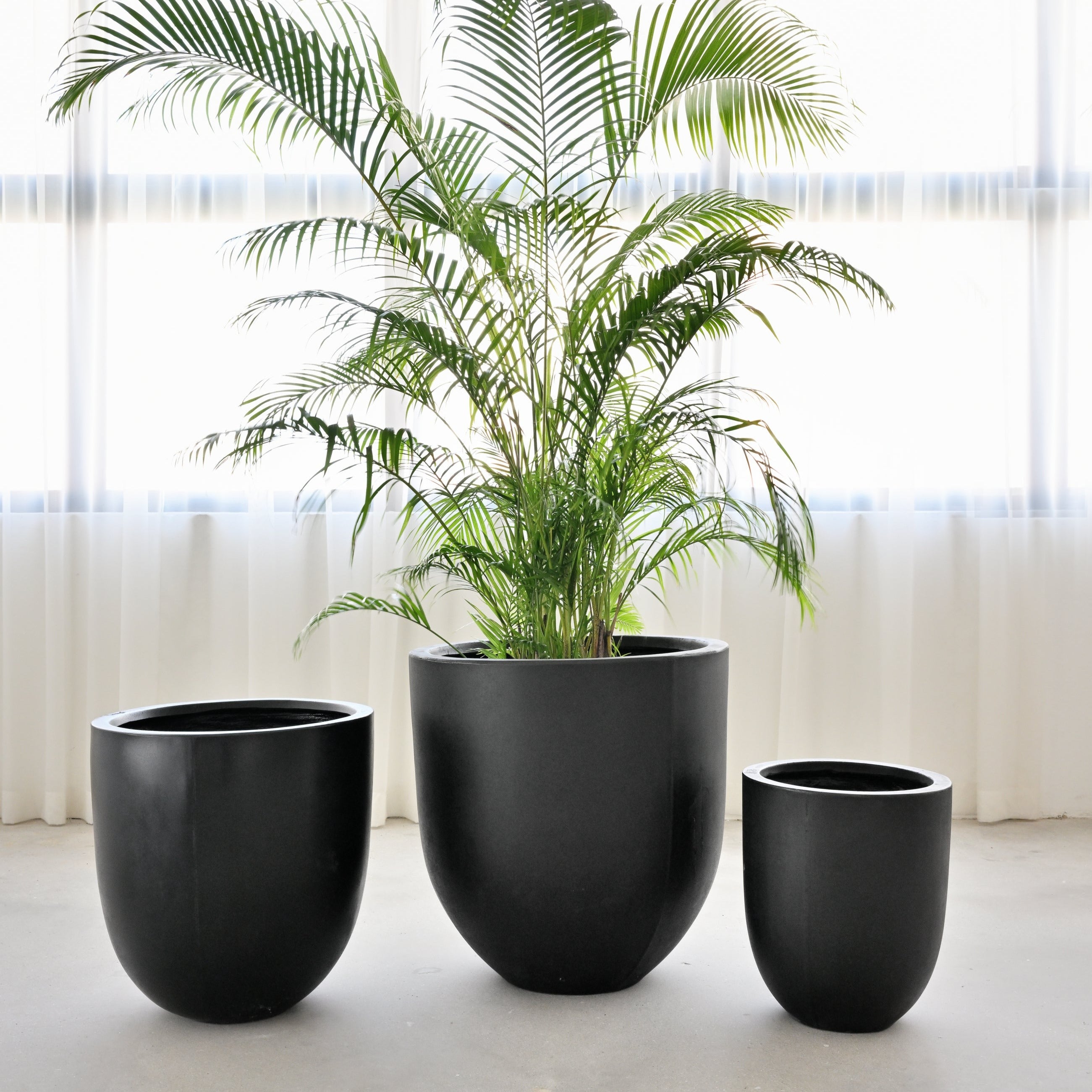 Bullet Concrete Pot - Black
