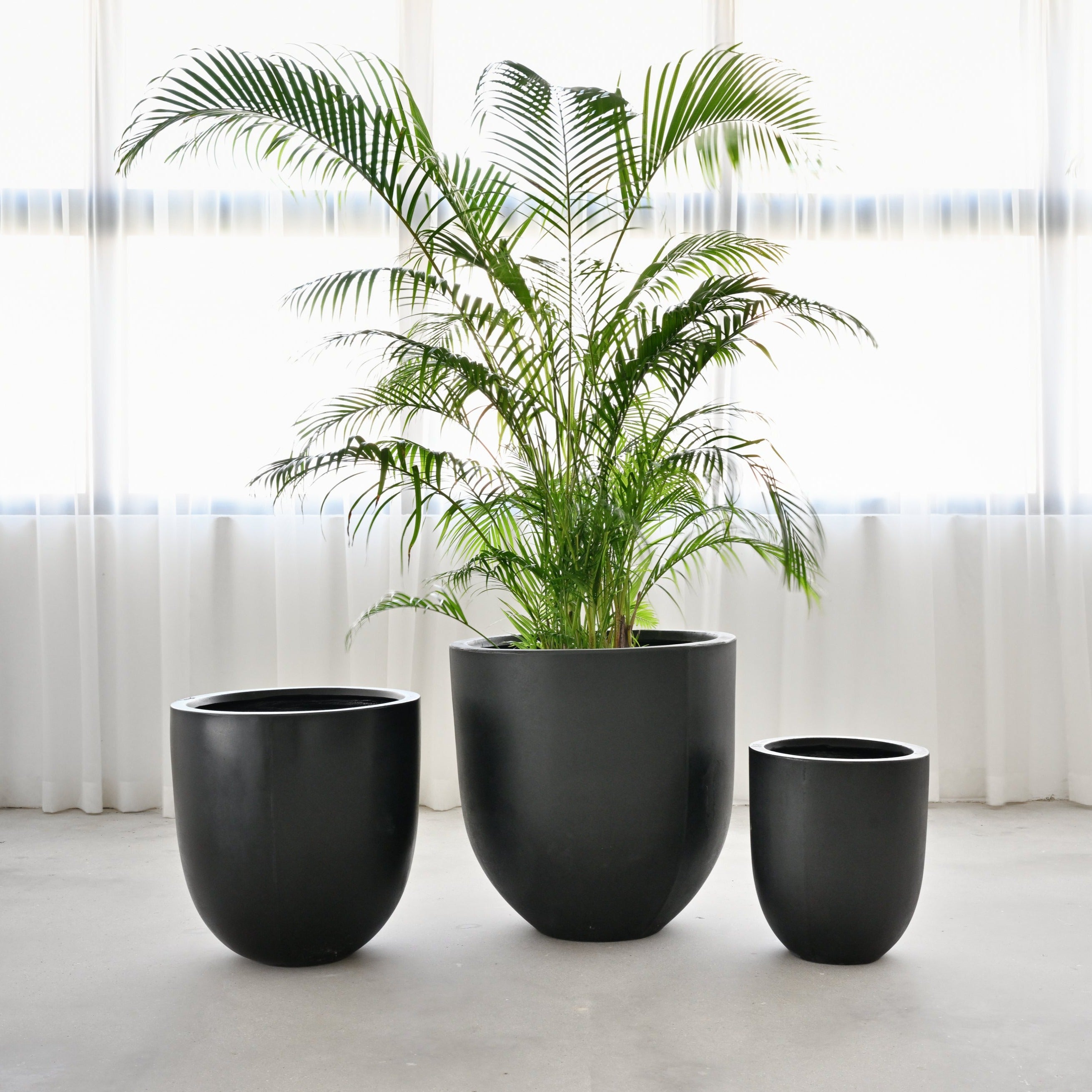 Bullet Concrete Pot - Black