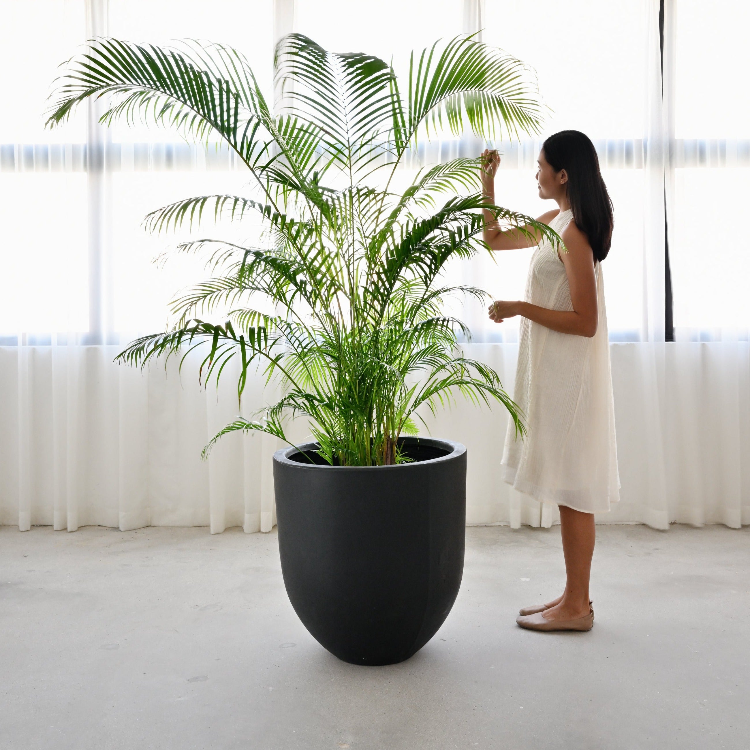 Bullet Concrete Pot - Black