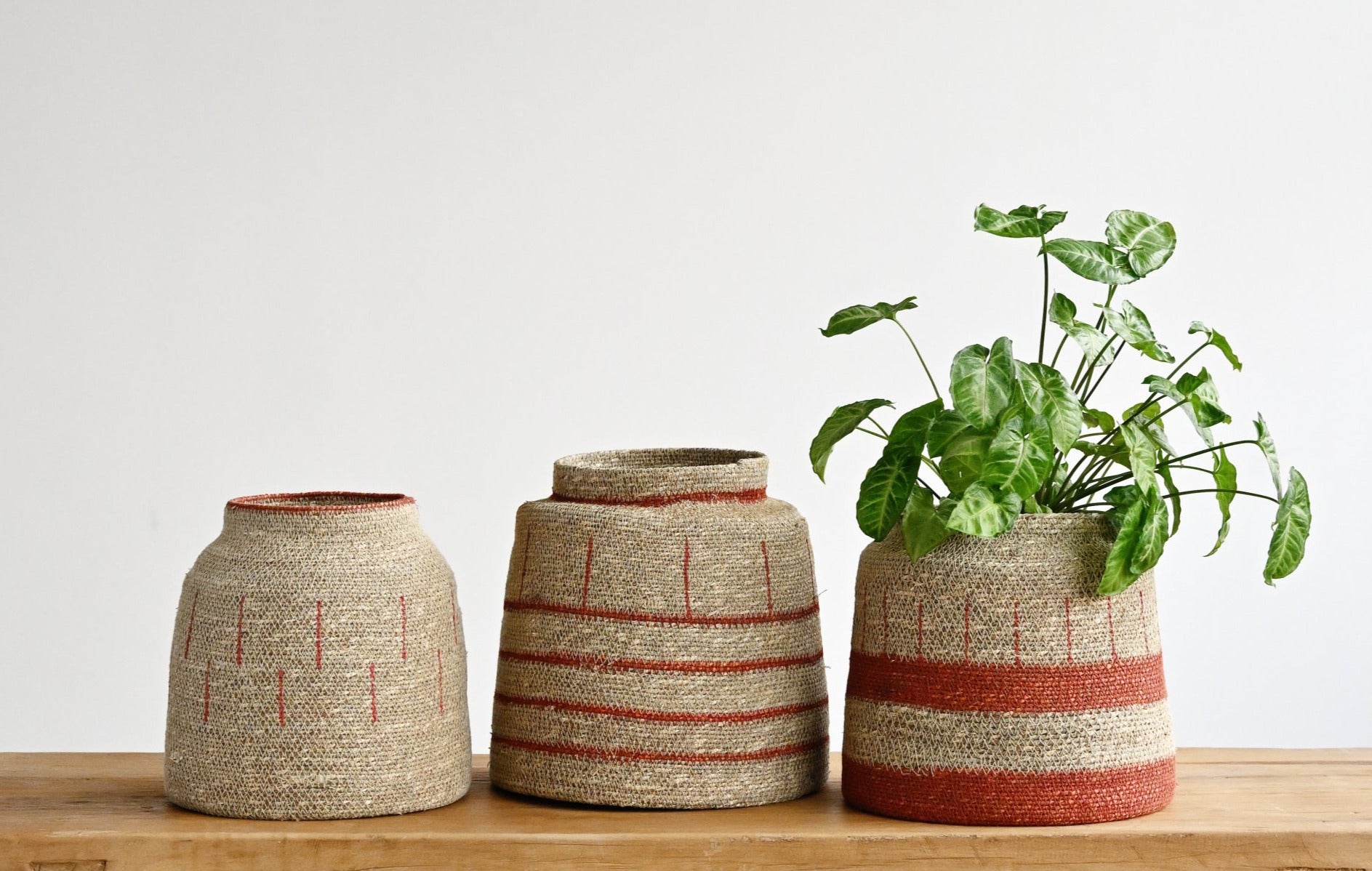 Zouk Woven Baskets with Verticle Lines