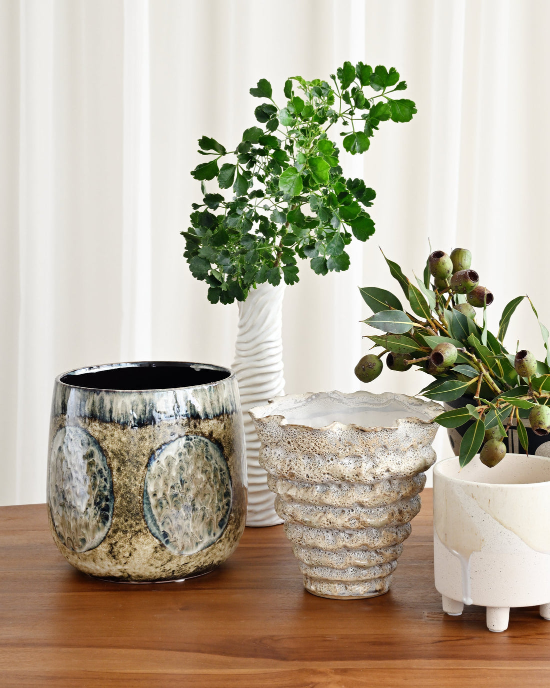 Collection of ceramic planters with plants on a wooden surface against a white curtain background