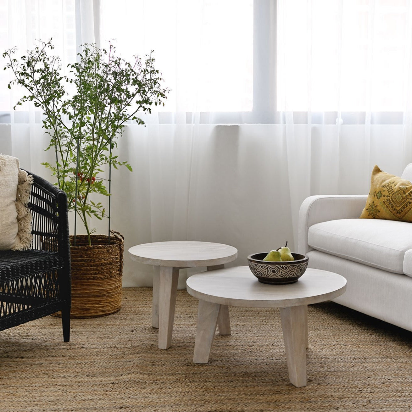 Gili Coffee Table - White Wash