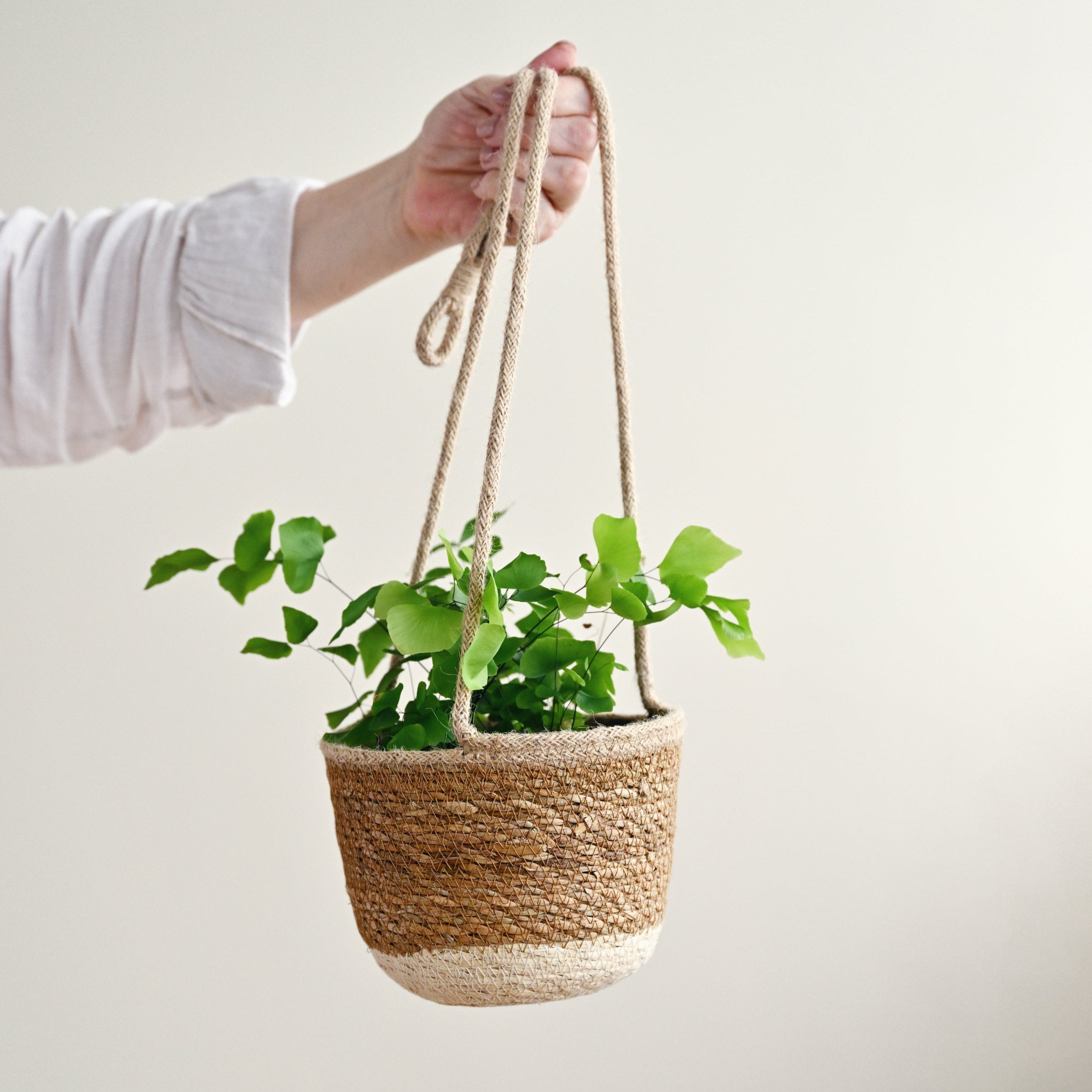 Khulna Hanging Planters - Set of 3 Warehouse_11