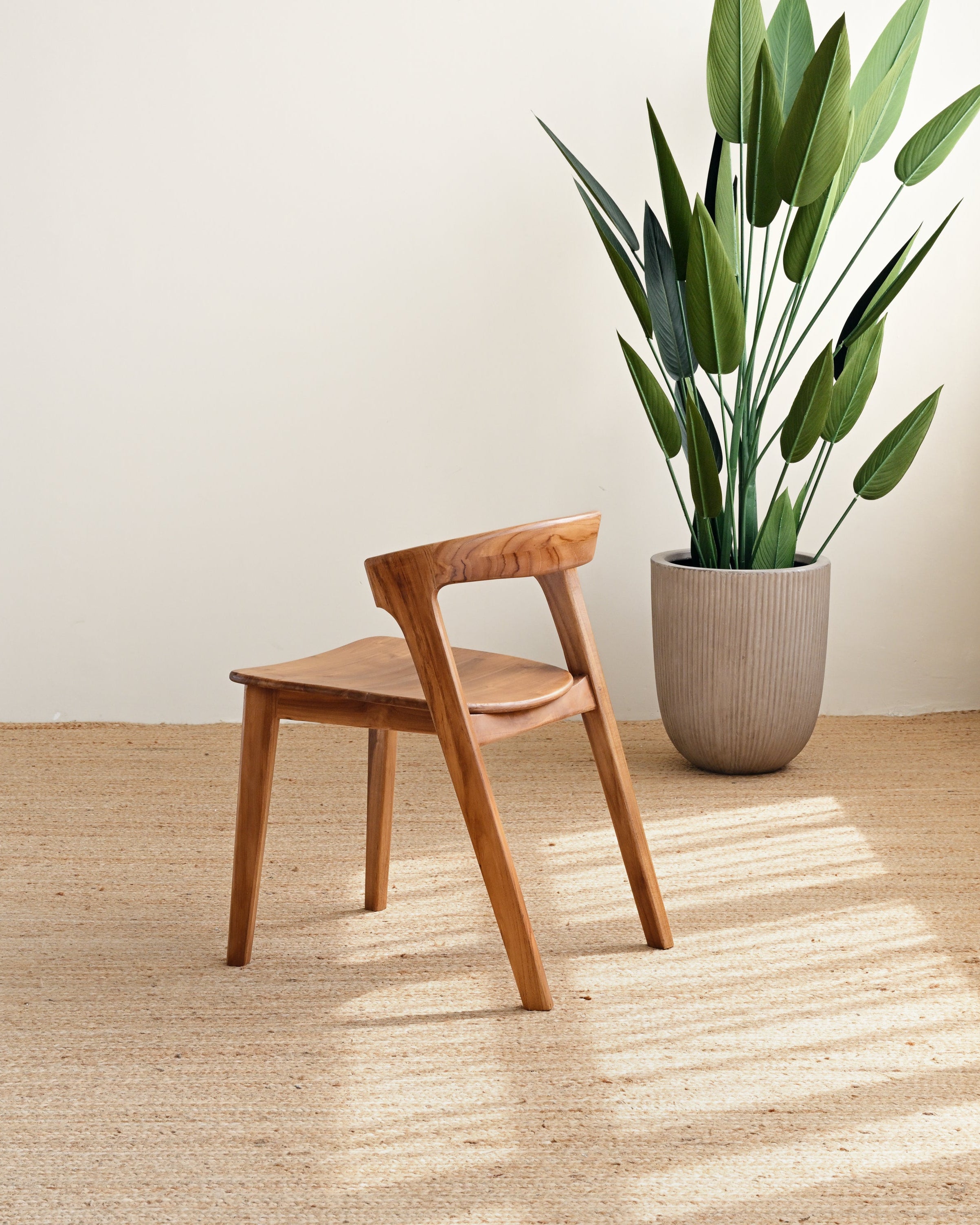 Wooden chair and potted plant in a room with light-colored walls and floor.