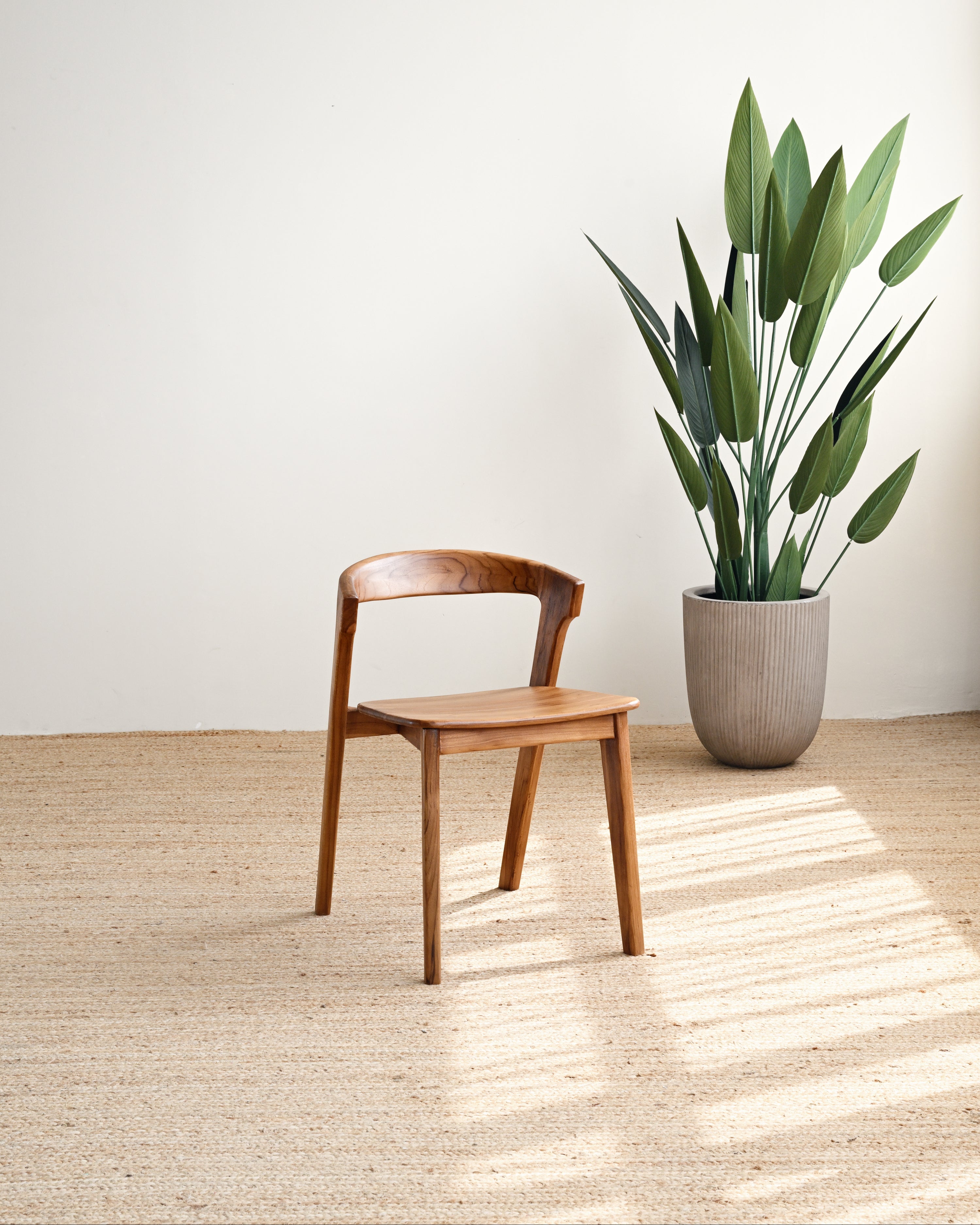 Wooden chair and potted plant in a room with a light-colored floor and wall.