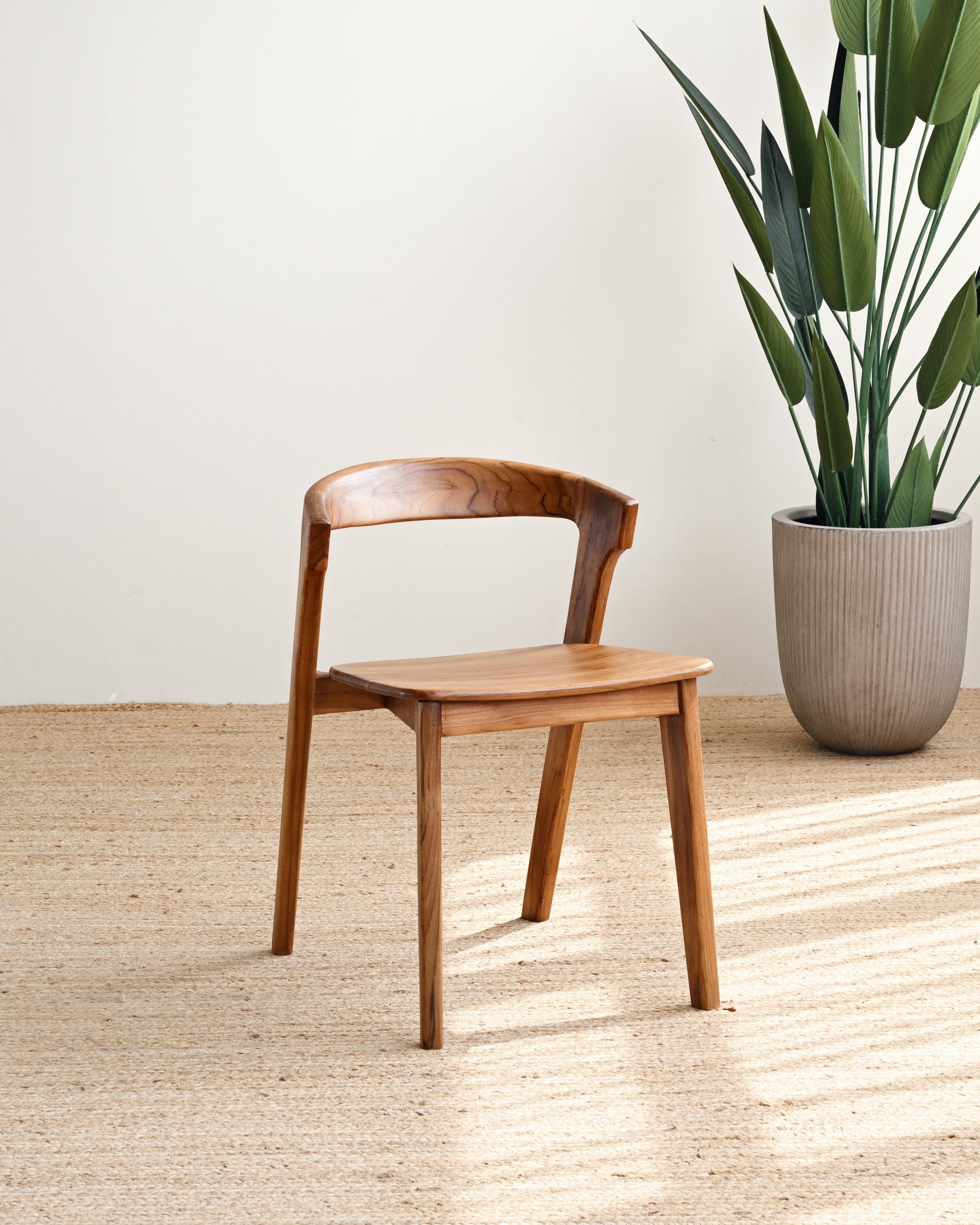 Wooden chair and potted plant in a room with a light-colored floor and wall.
