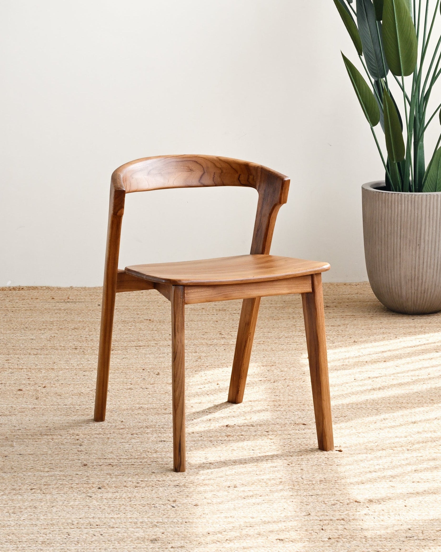 Wooden chair and potted plant in a room with a light-colored floor and wall.