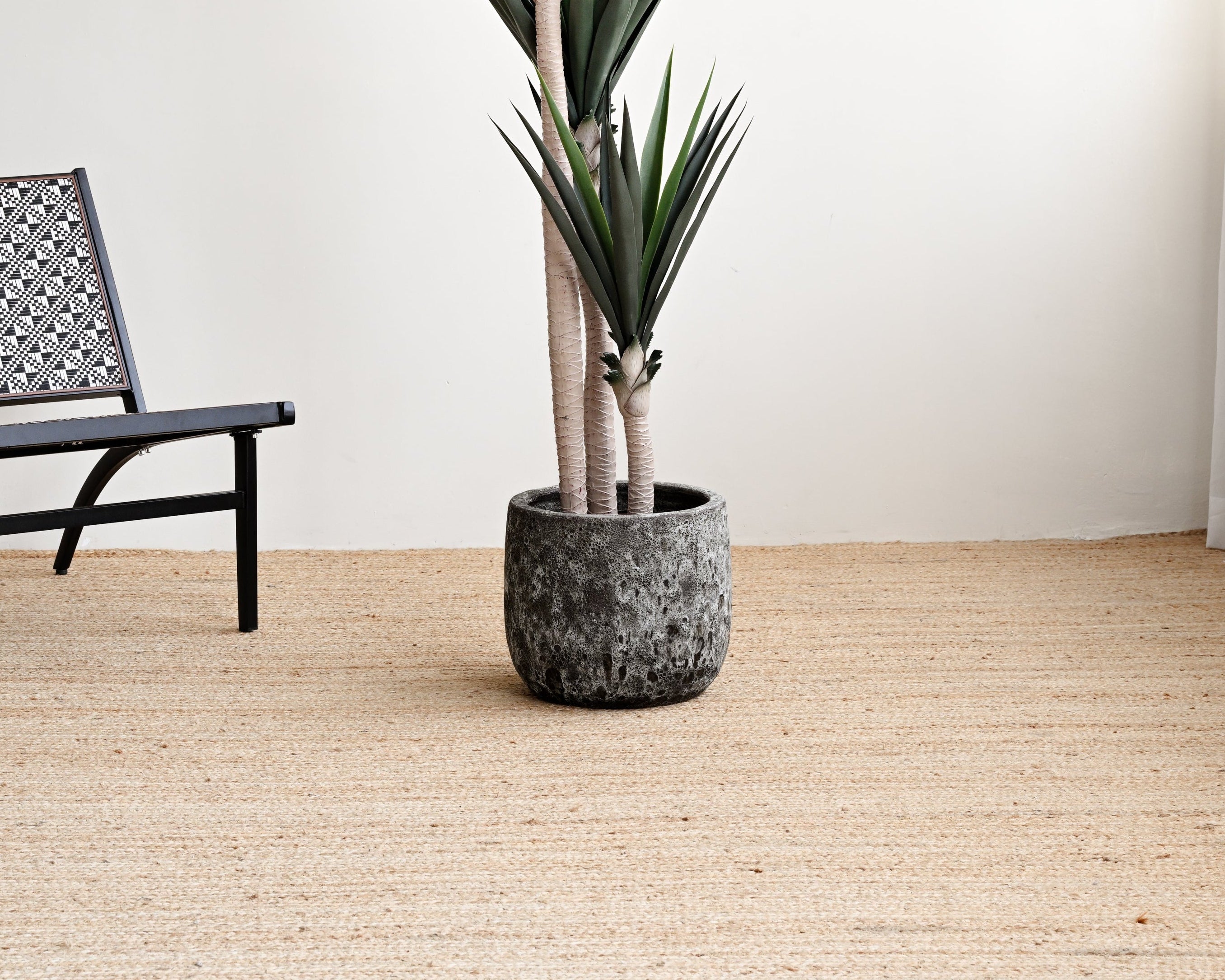 Potted plant on a jute rug with a chair in the background
