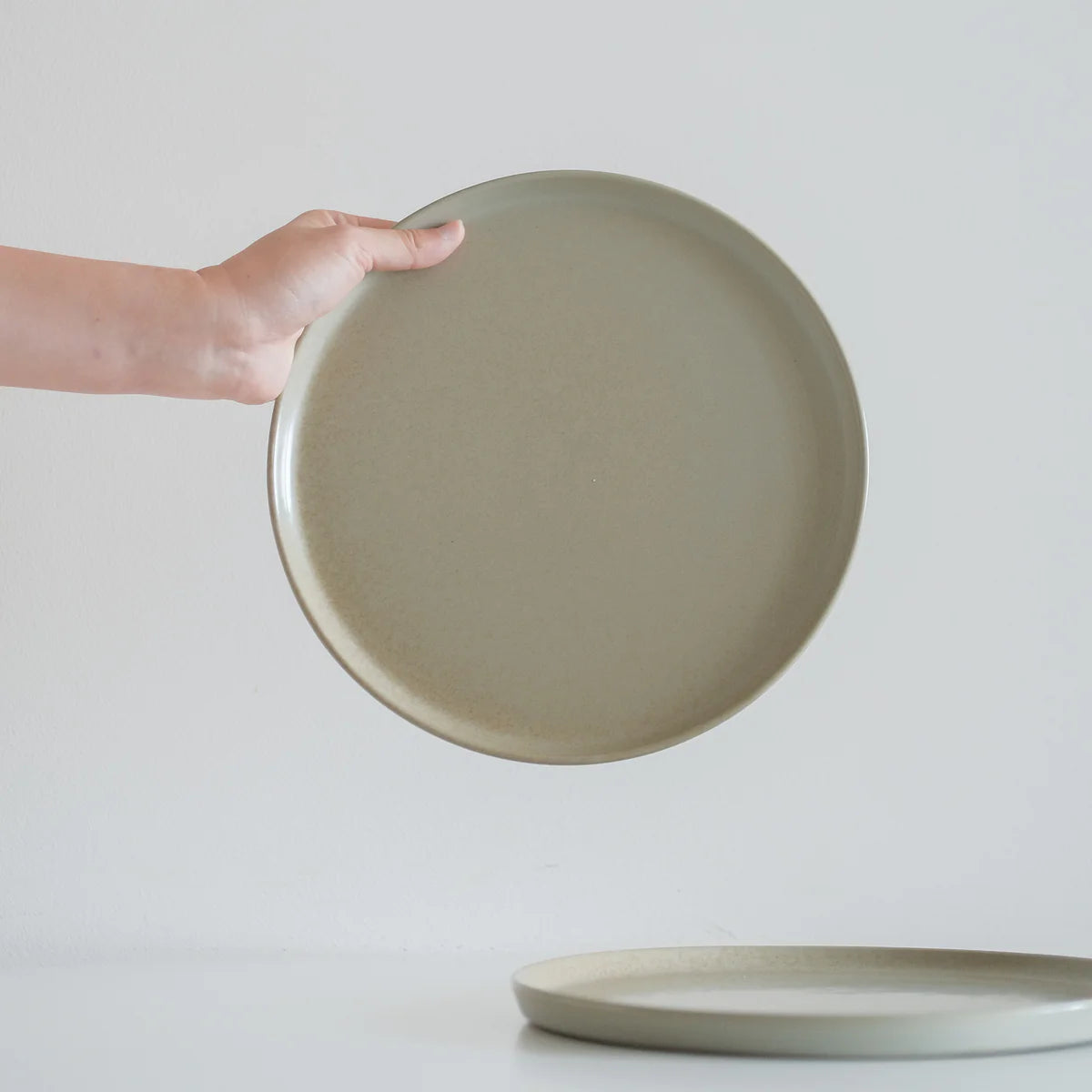 Matte Fernwood Dinner Plate