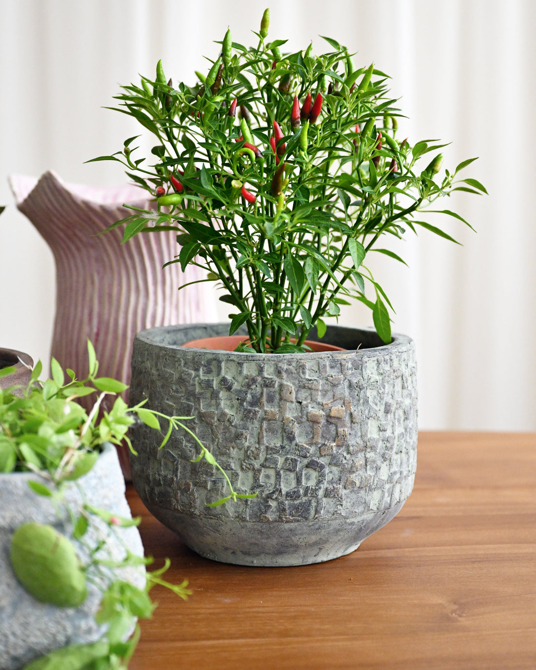 Potted plant with red peppers on a wooden surface with a blurred background