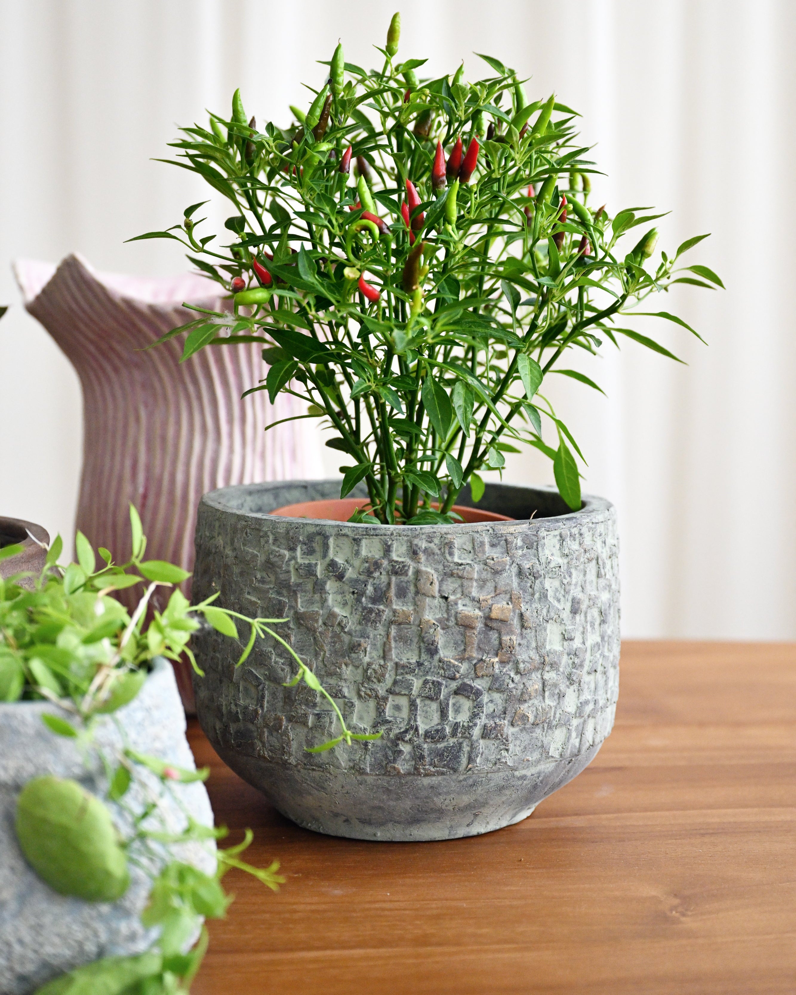 Potted plant with red peppers on a wooden surface with a blurred background