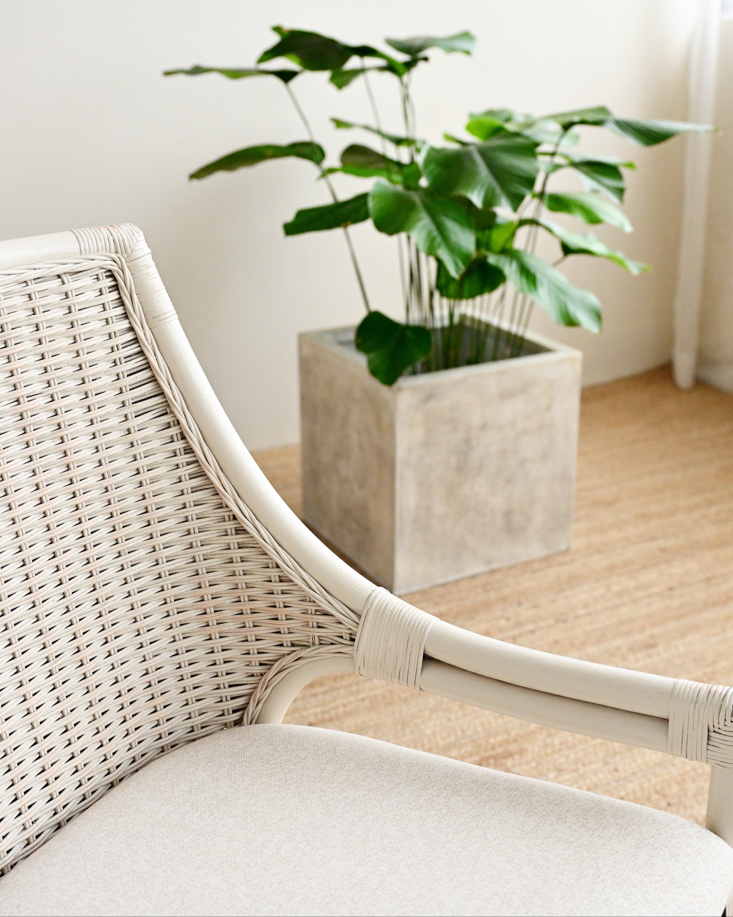 Wicker chair with a potted plant on a wooden floor in a bright room.