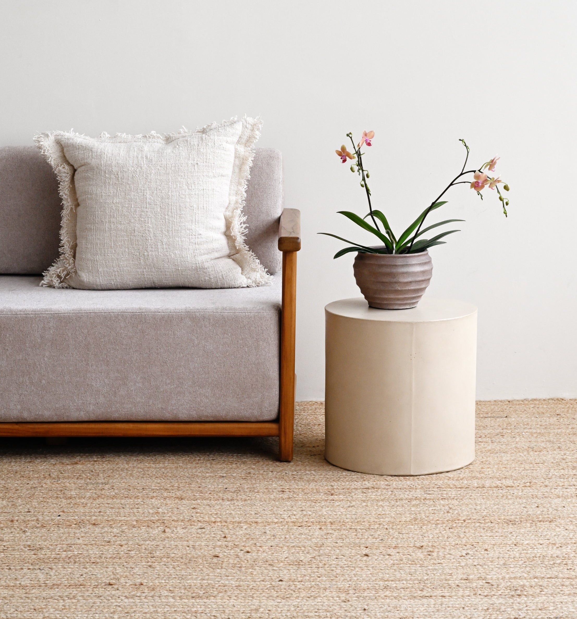Beige carpet in a room with a sofa and a small table with a plant.