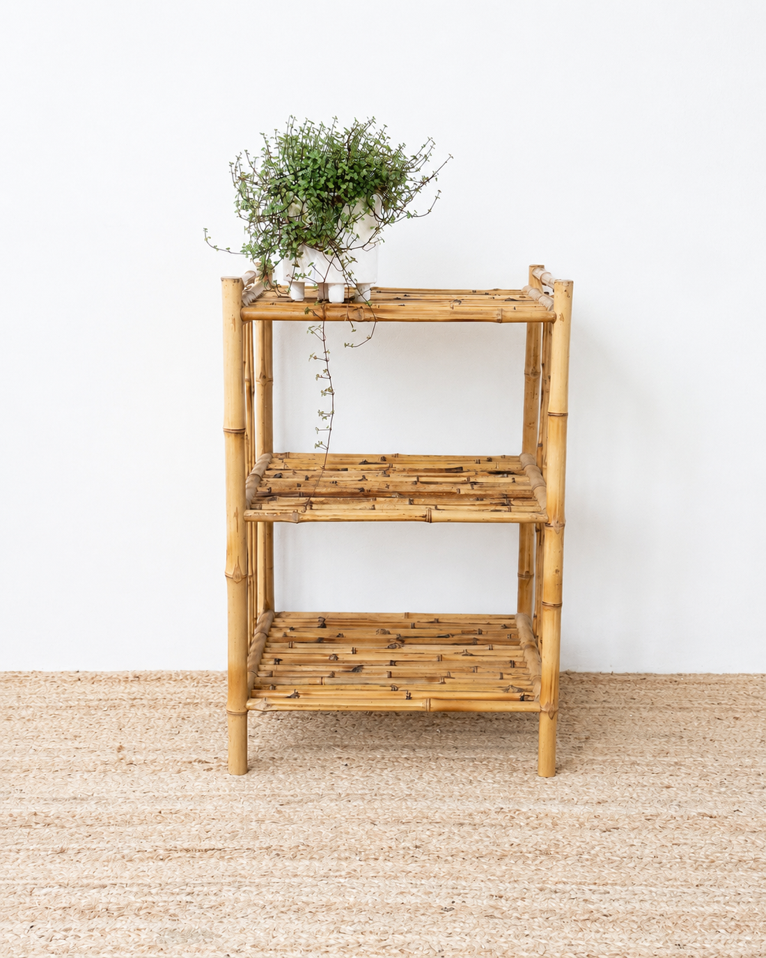 Bamboo shelf with a plant on a white wall background