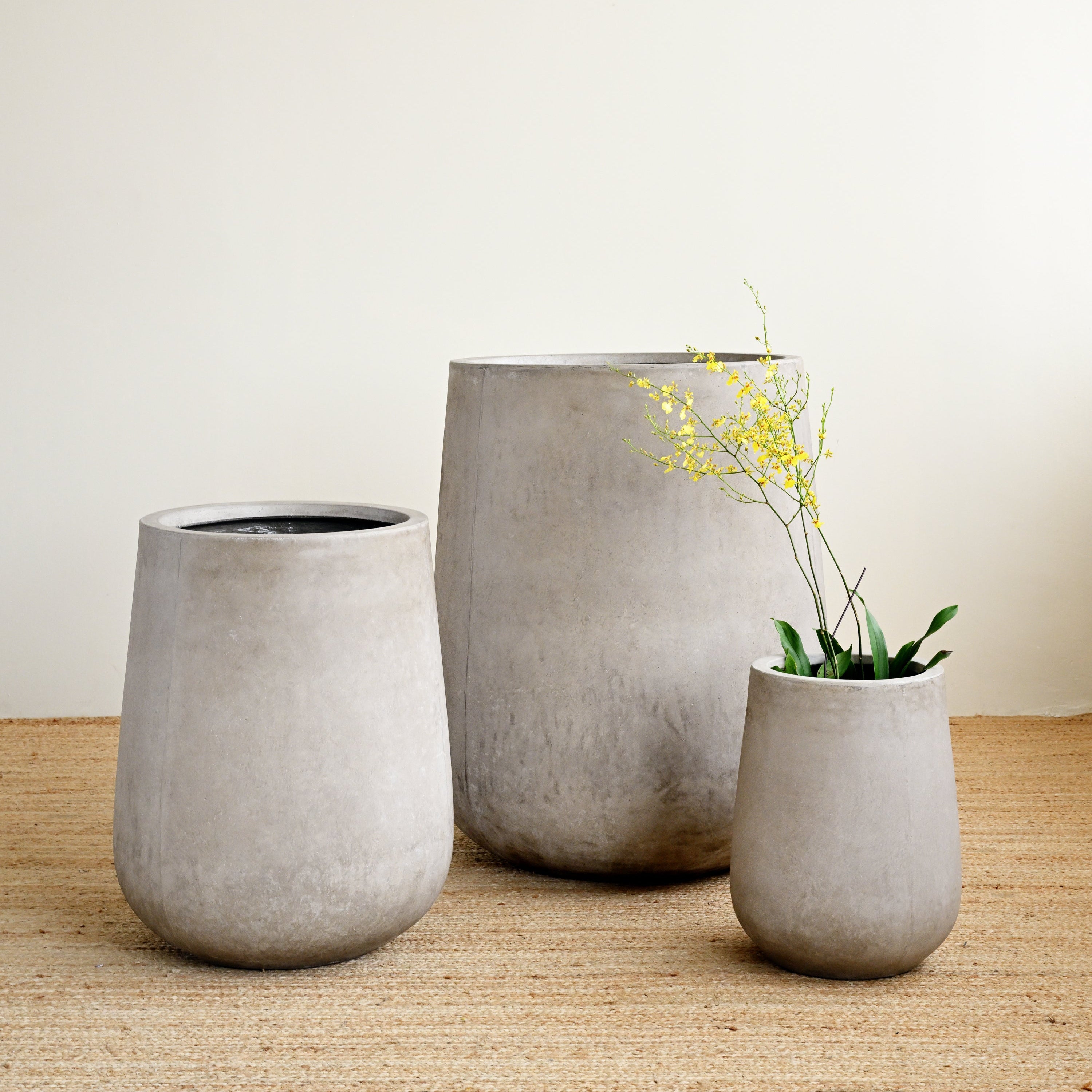 Three concrete planters of different sizes on a wooden surface with a plain background