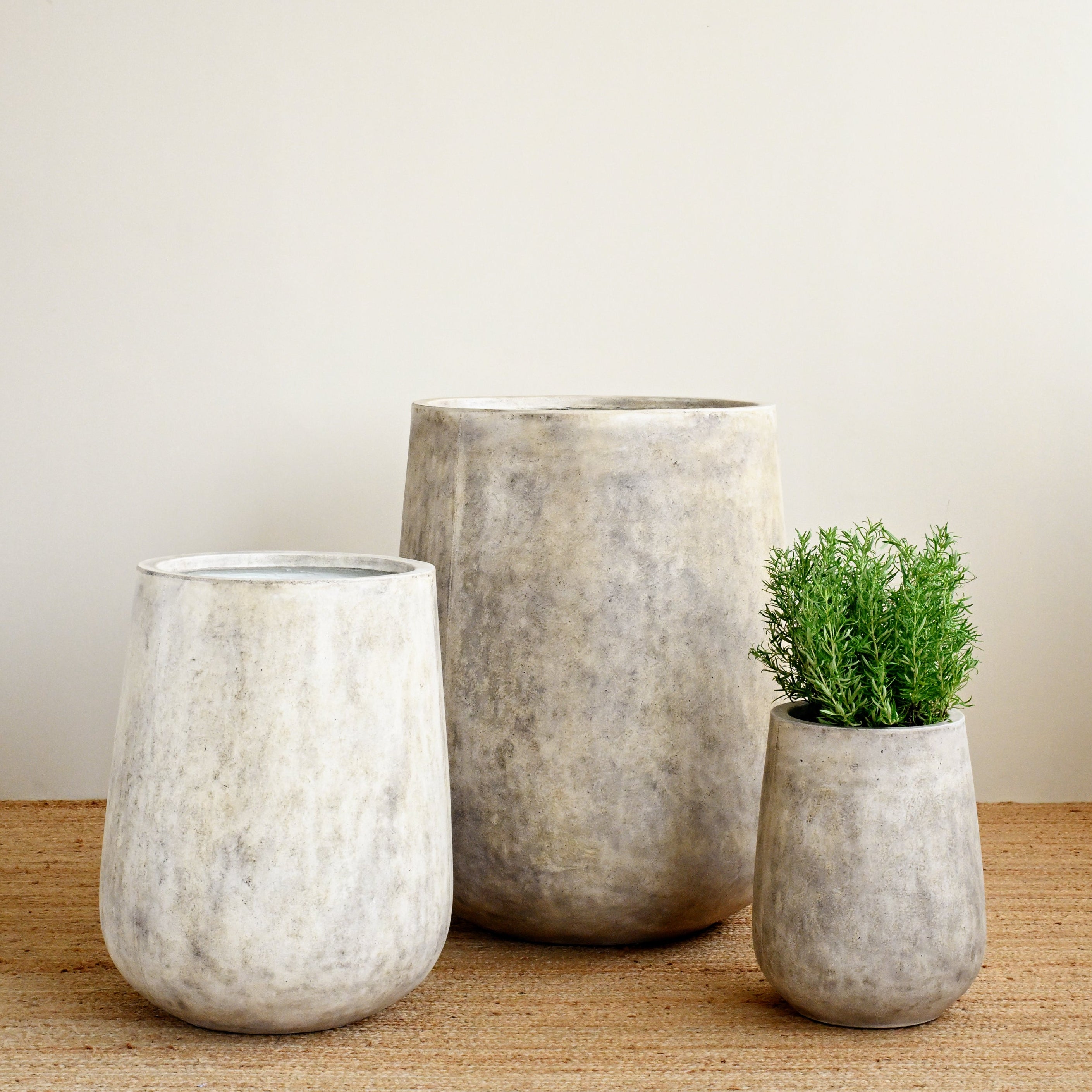 Three concrete planters of different sizes on a wooden surface with a plain background