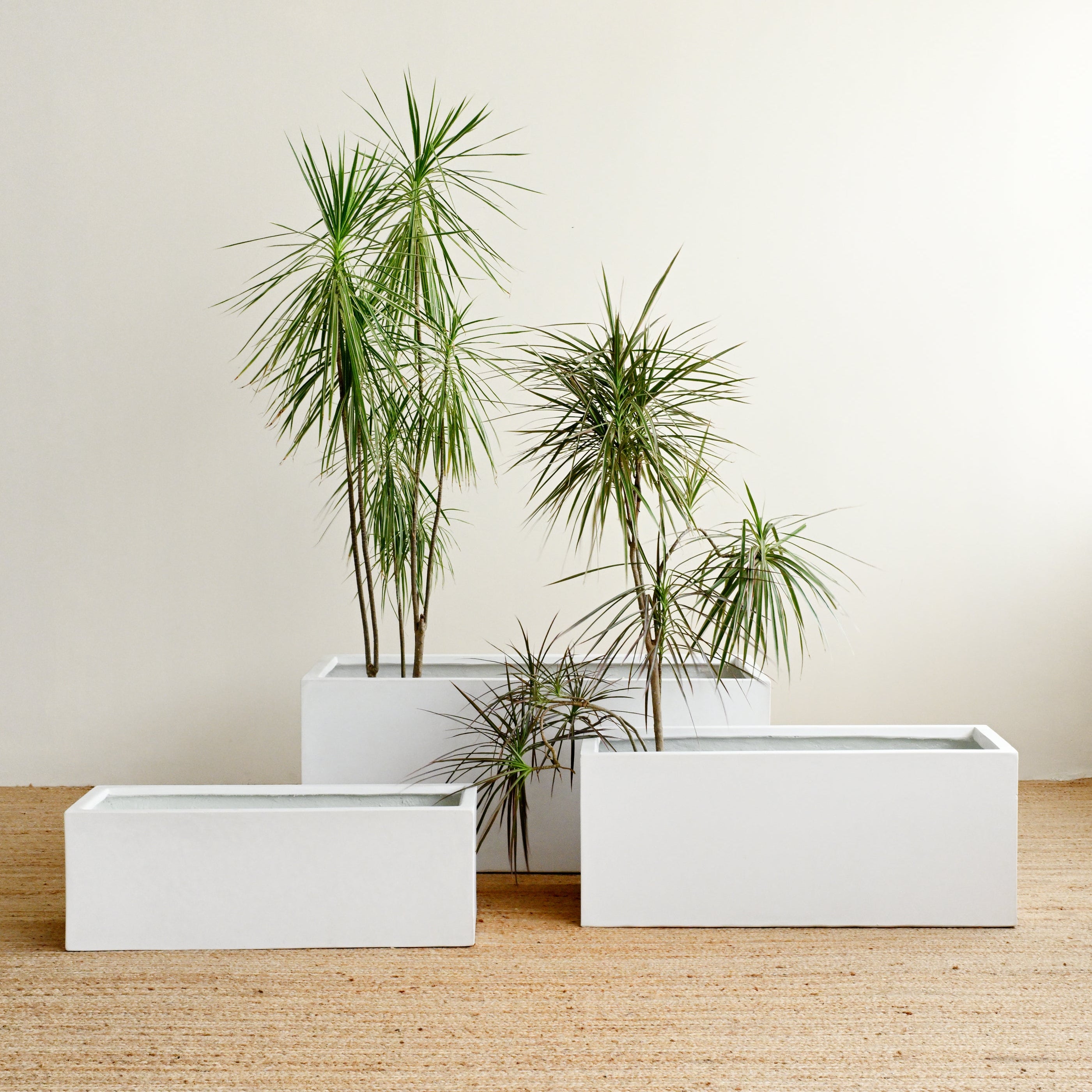 White Rectangle Planter Box