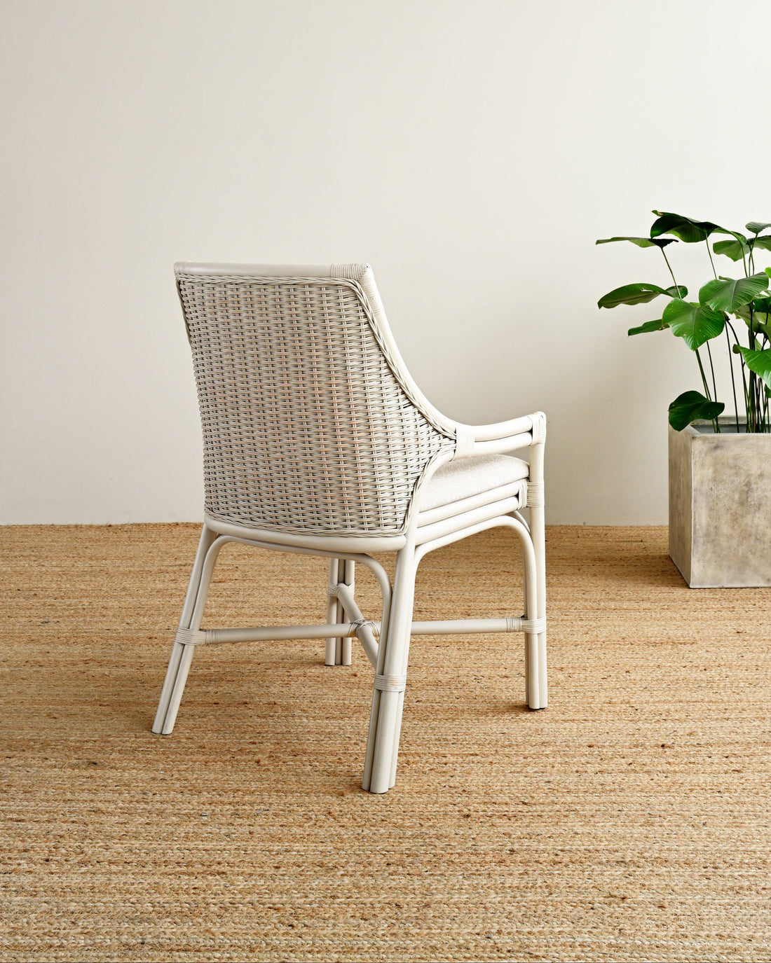 Wicker chair in a room with a plant on a wooden floor.