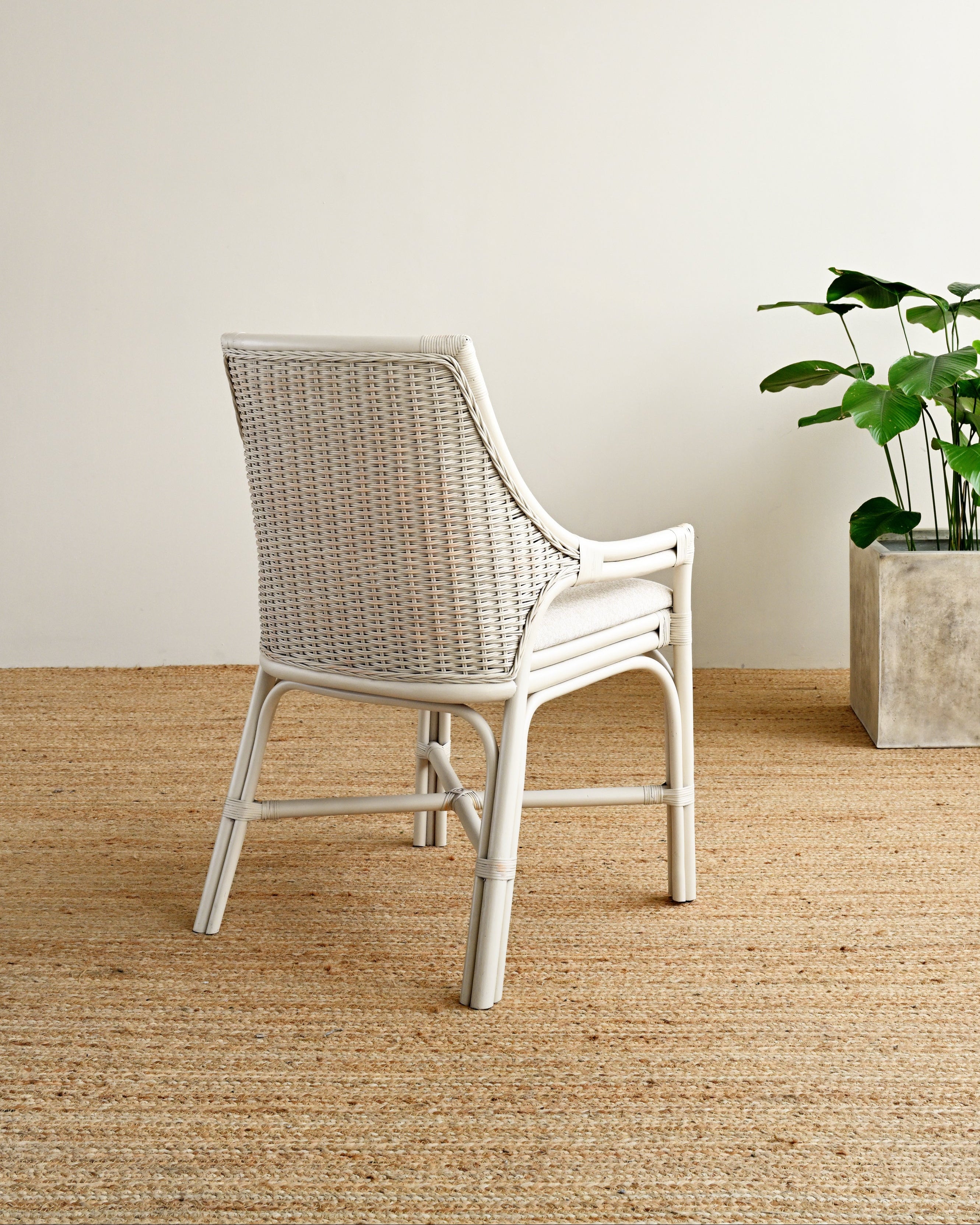 Wicker chair in a room with a plant on a wooden floor.