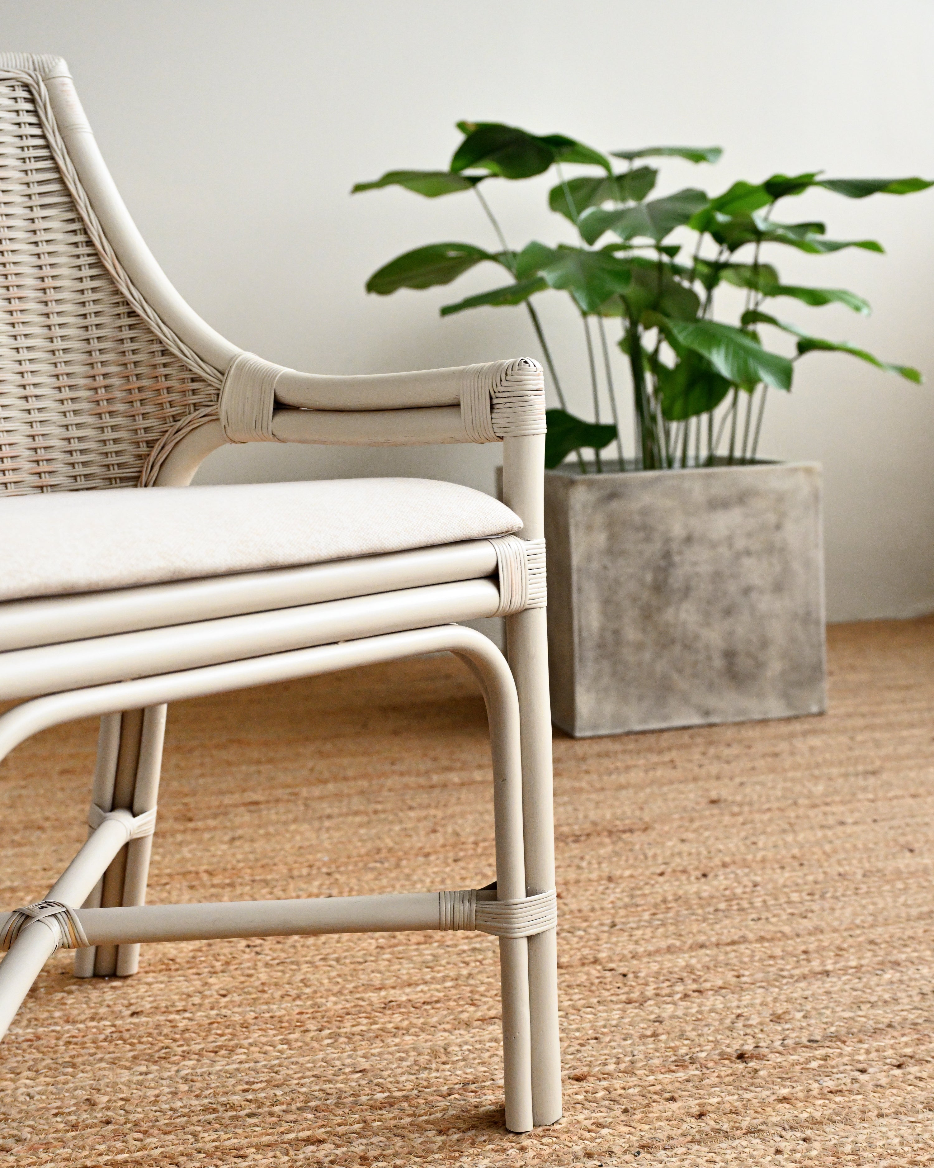 Rattan dining chair ivory with plant in background