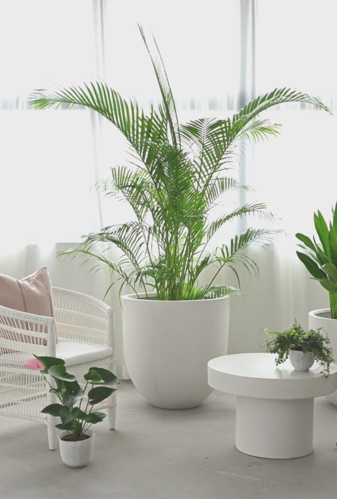 Bullet Concrete Pot - White