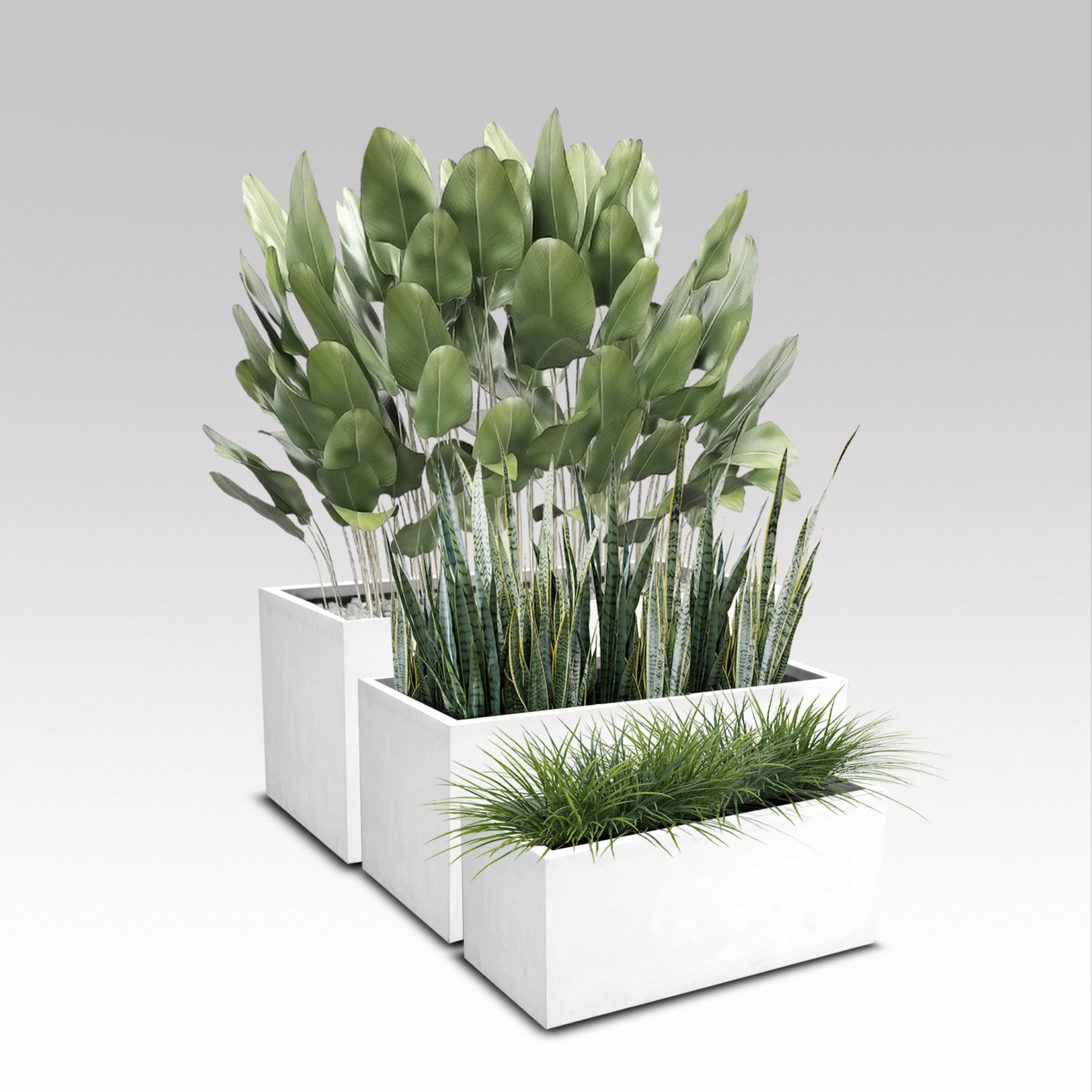 White Rectangle Planter Box