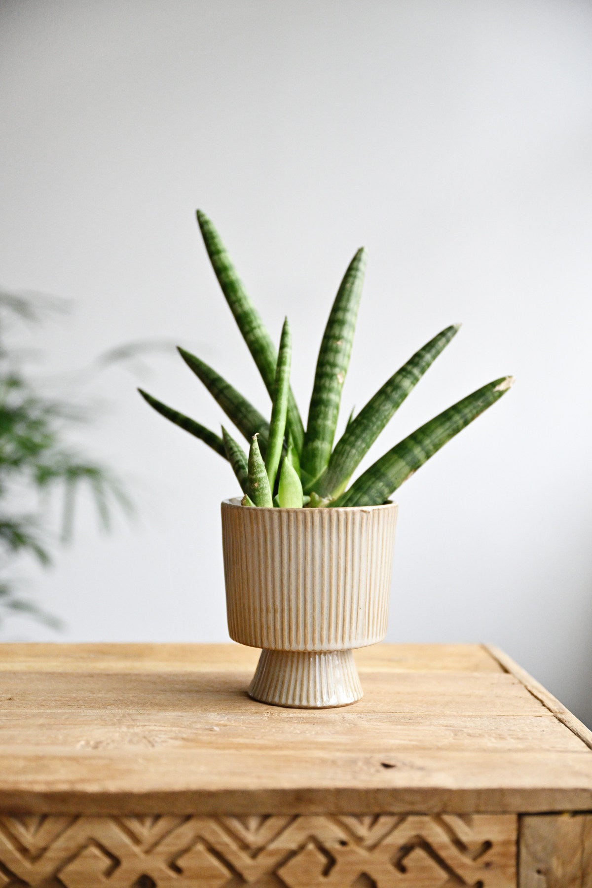 Amel Flowerpot