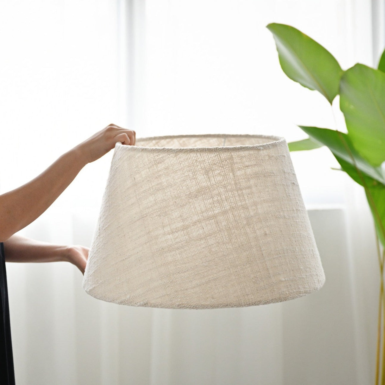Tom Lampshade