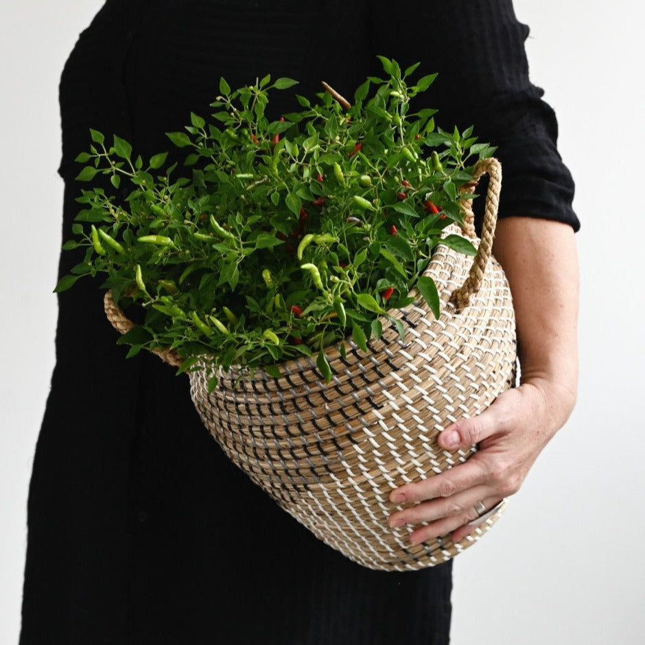 Dalat Seagrass Basket