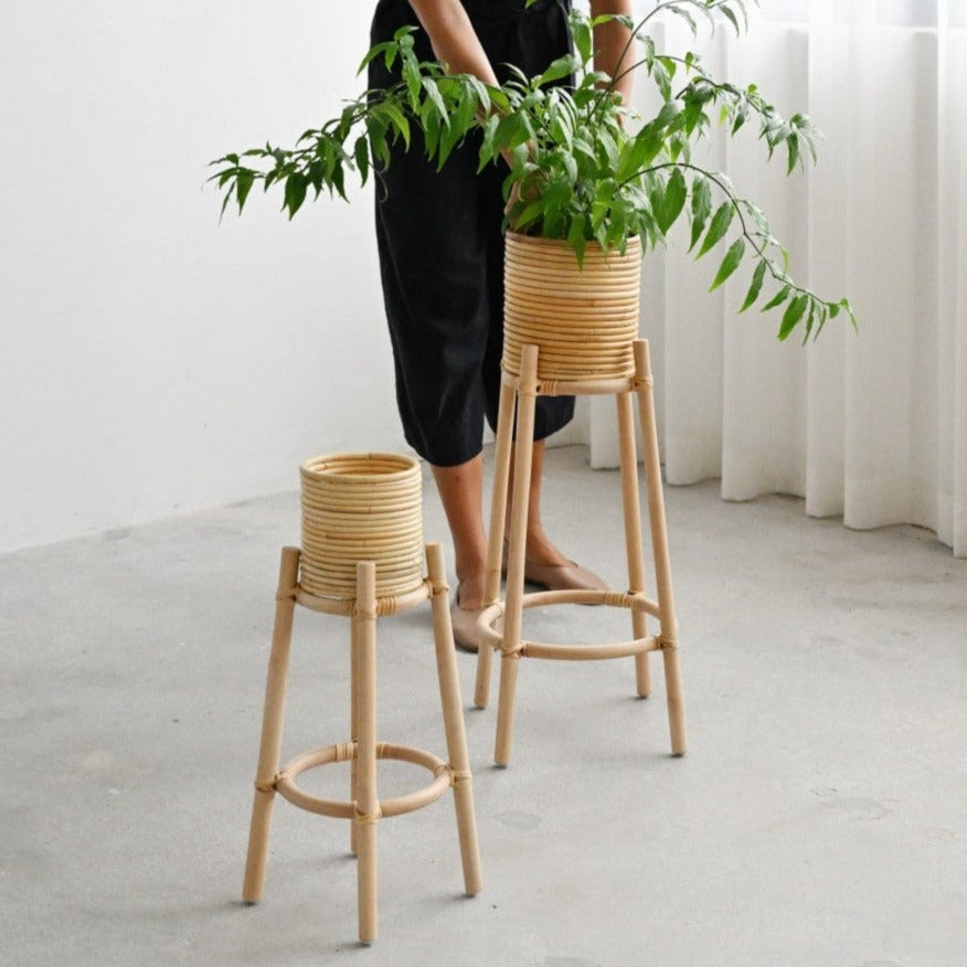 Dew Plant Stand