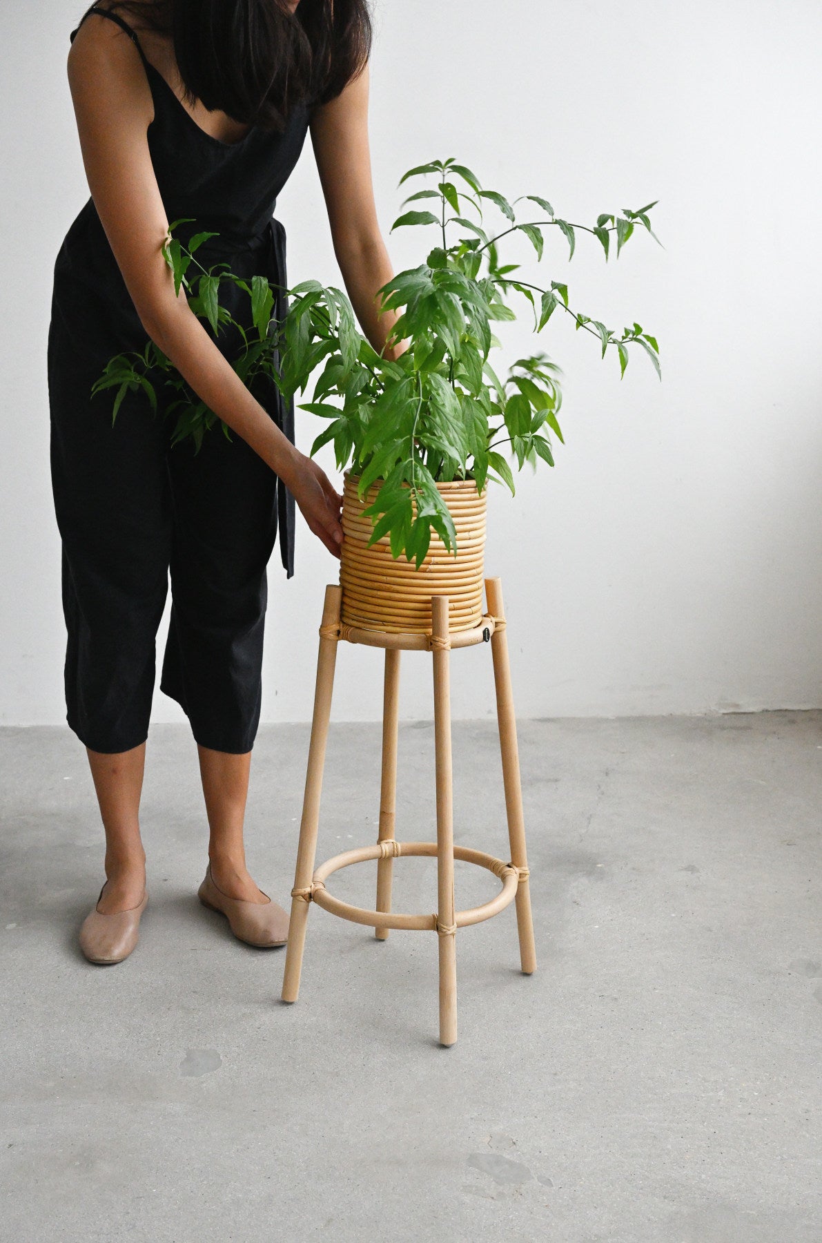 Dew Plant Stand