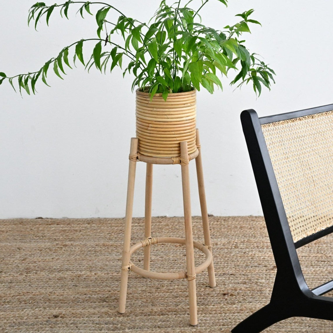 Dew Plant Stand