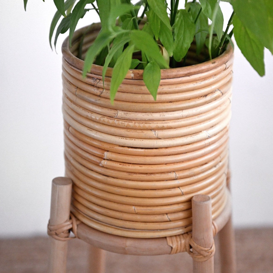 Dew Plant Stand