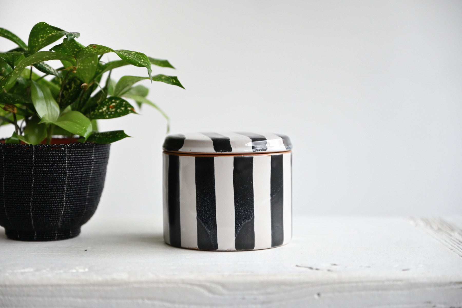 Serina Jar With Lid