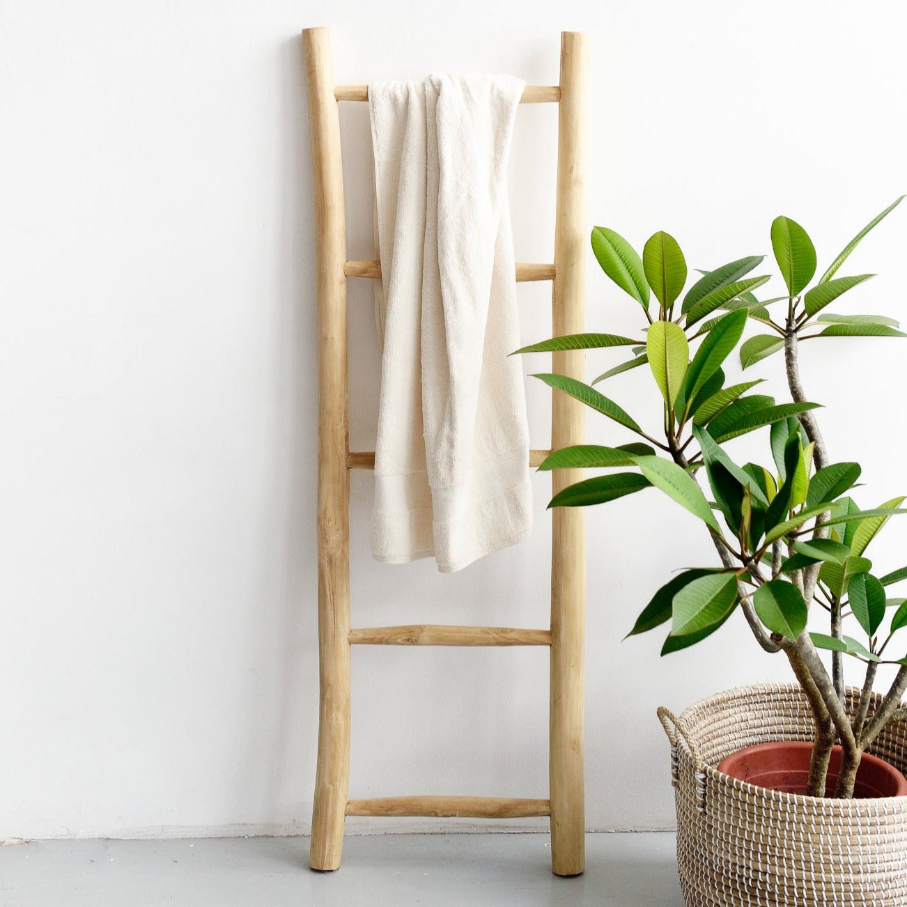 Natural Teak Ladder