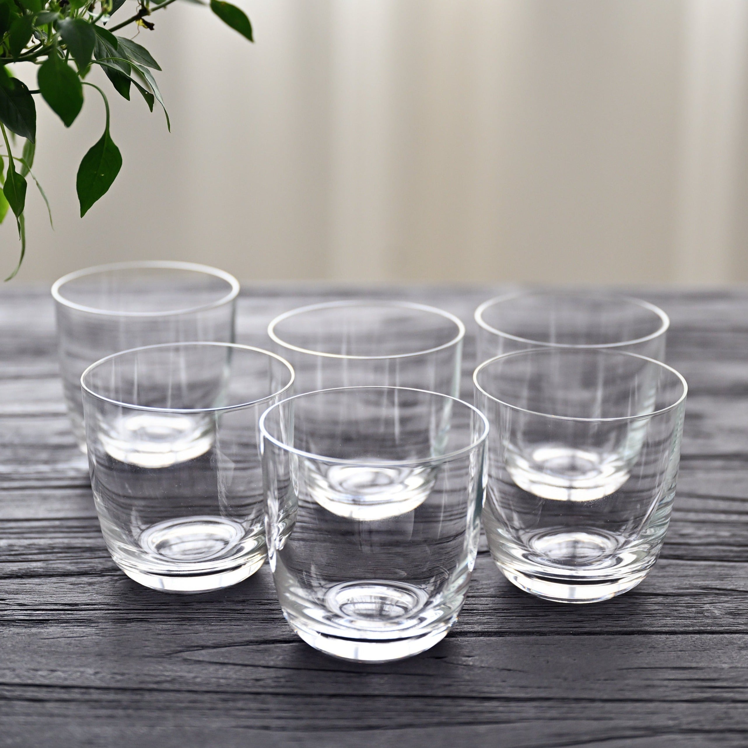 Salut Tumbler (Set of 6)