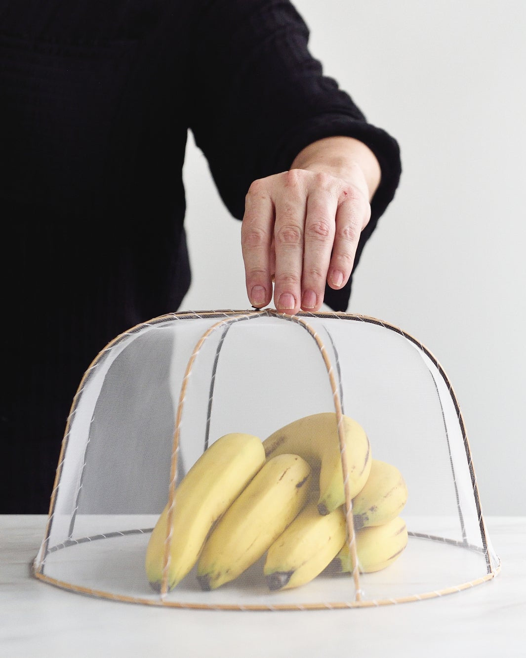 Round Food Cover