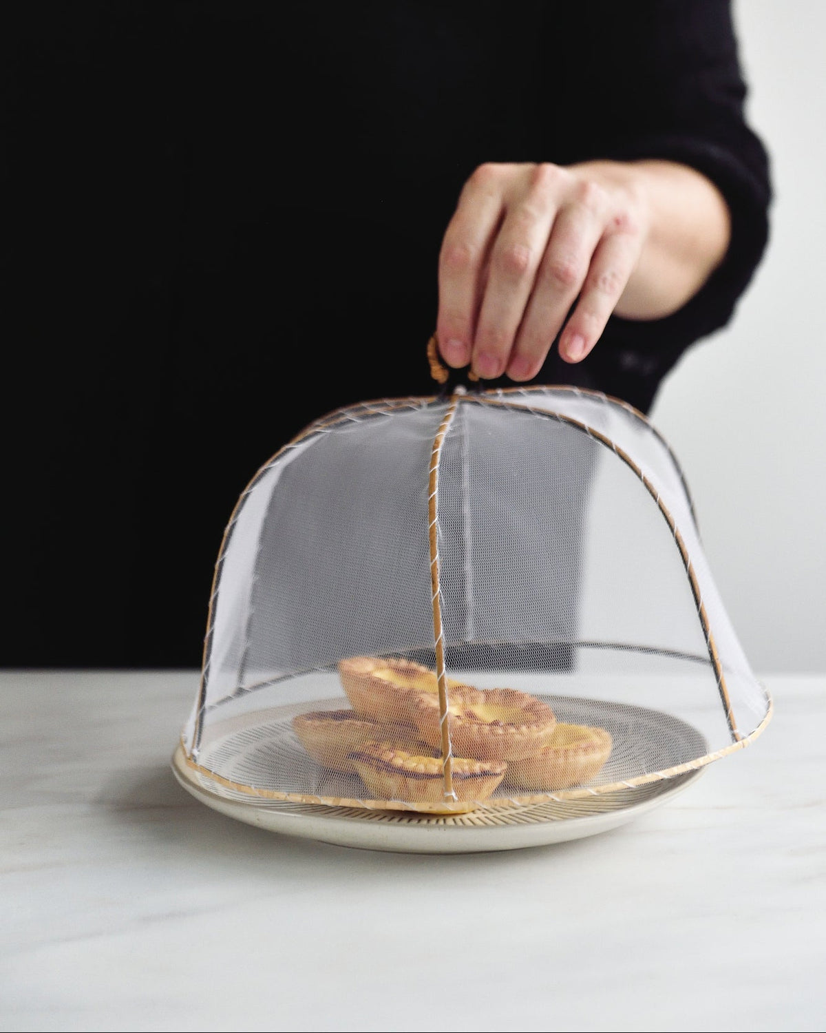 Round Food Cover