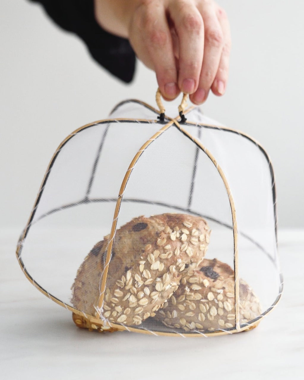Round Food Cover
