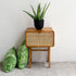 Teak and Rattan Bedside Table