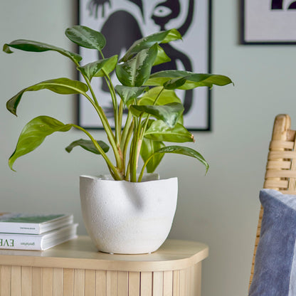 Sanam Flowerpot - White