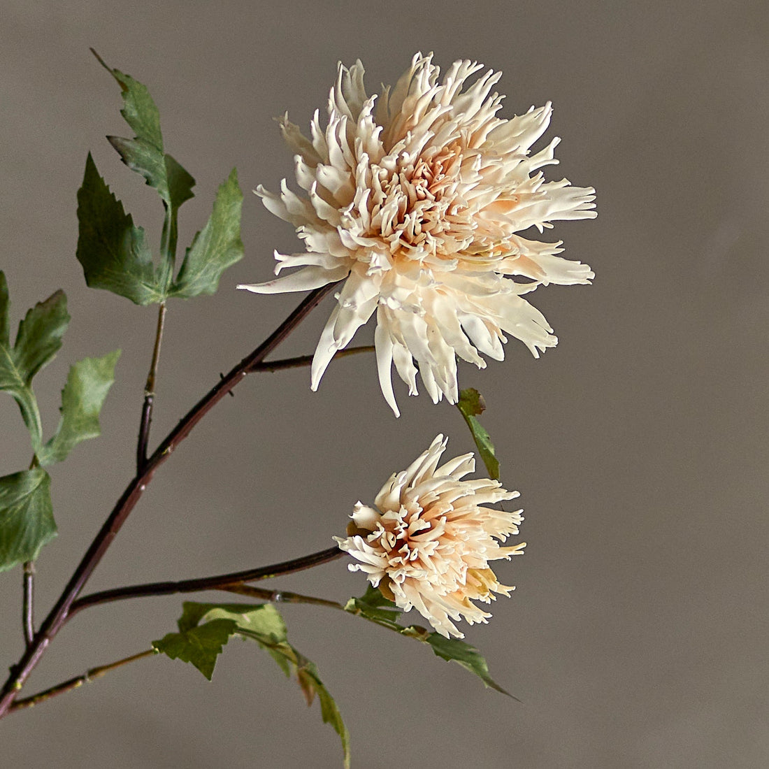 Artificial Chrysanthemum Stem - Nature