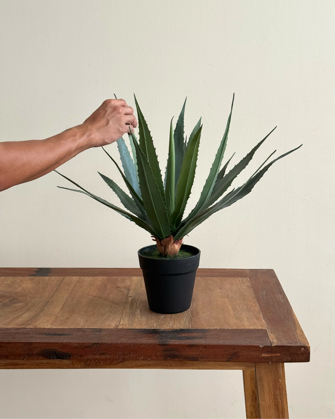 Agave Pot Plant 50cm - Faux