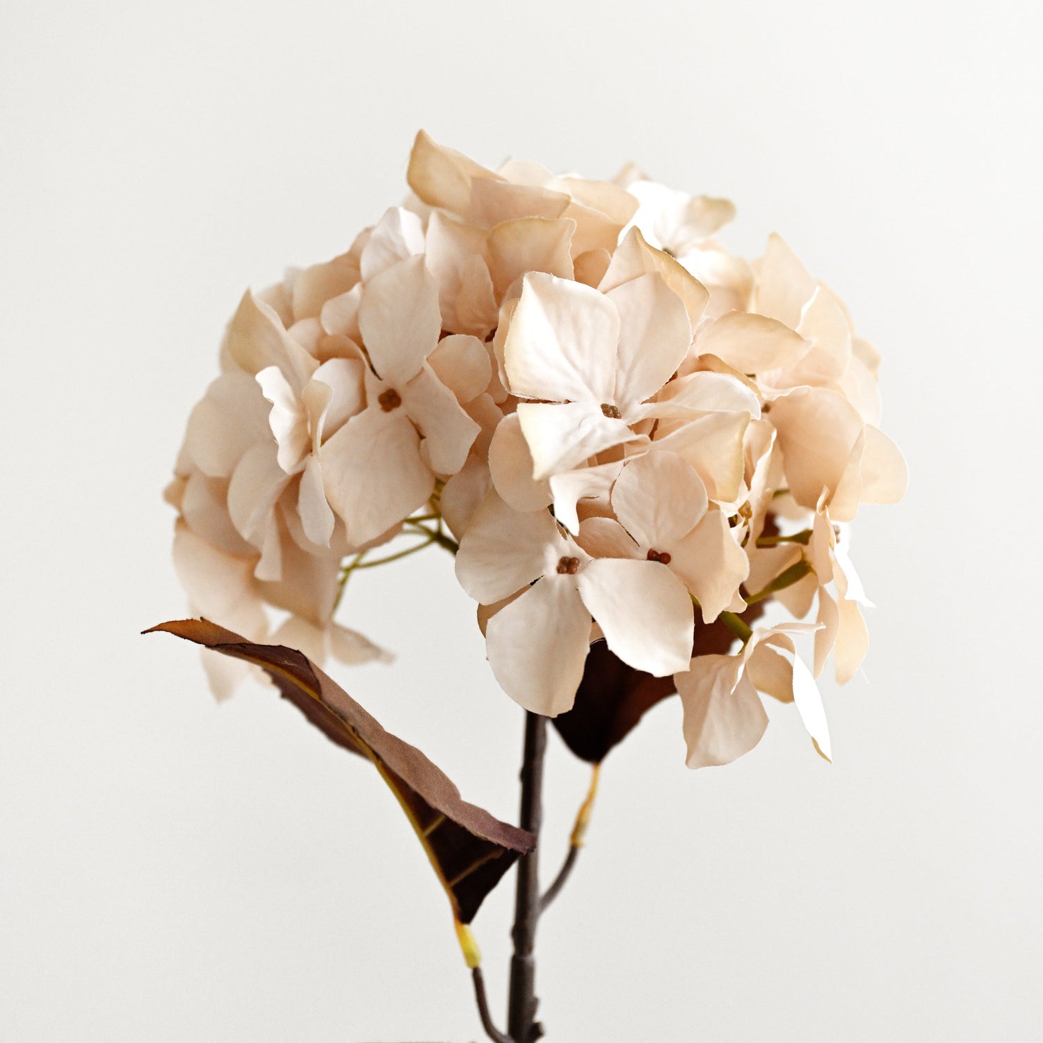 Artificial Hydrangea Stem - Natural 2